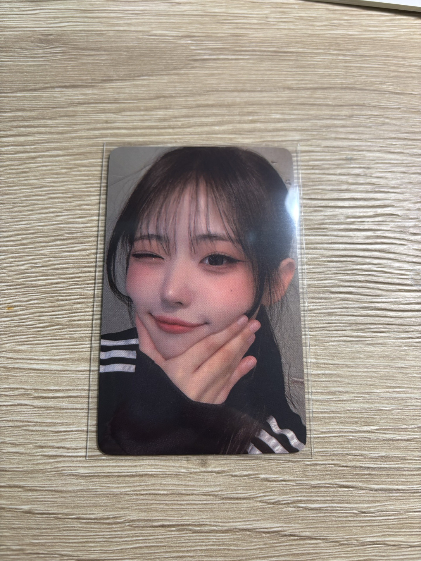 Hina 迷三 wvs 預售 特典卡 