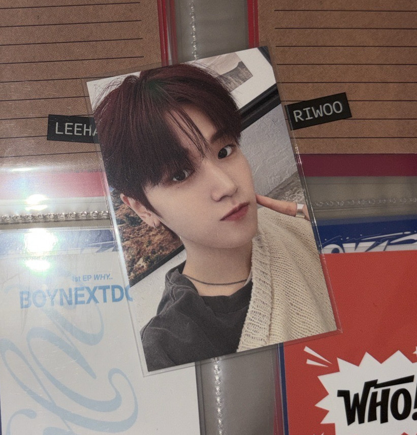 WHY 日本抽選 RIWOO