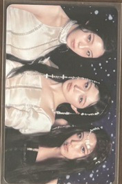 世巡快閃隨機卡 團卡