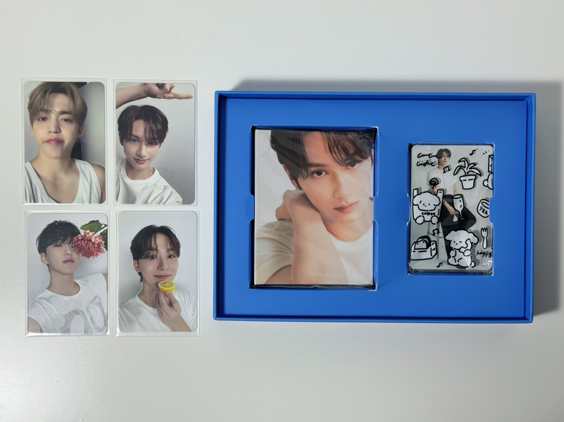 親愛盤（全專）- 俊