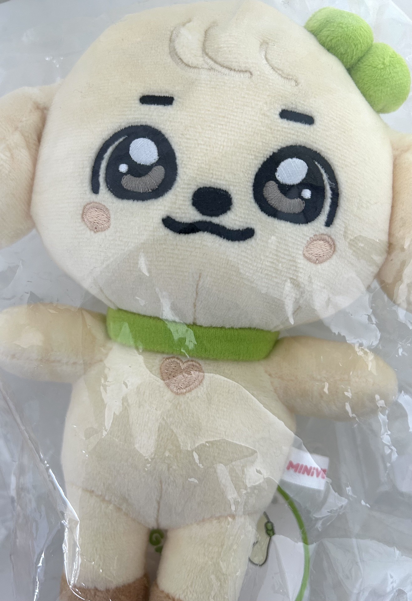 IVE MINIVE SCHOOL 20公分 娃娃玩偶 