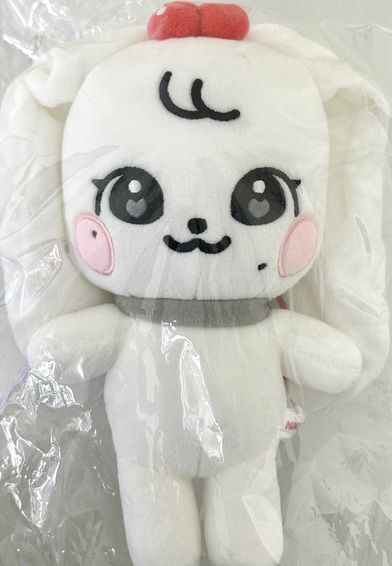 IVE MINIVE SCHOOL 20公分 娃娃玩偶 