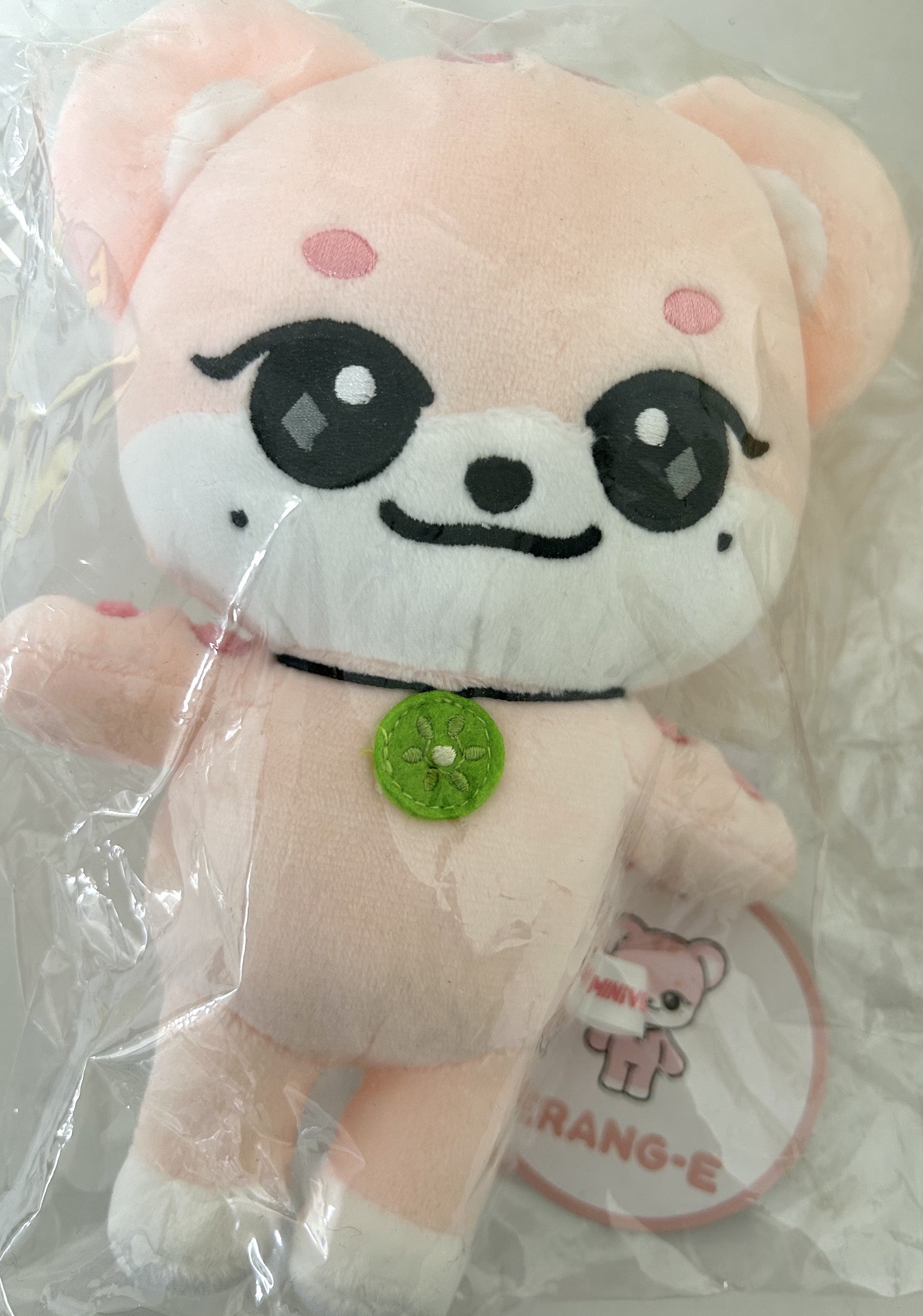 IVE MINIVE SCHOOL 20公分 娃娃玩偶 