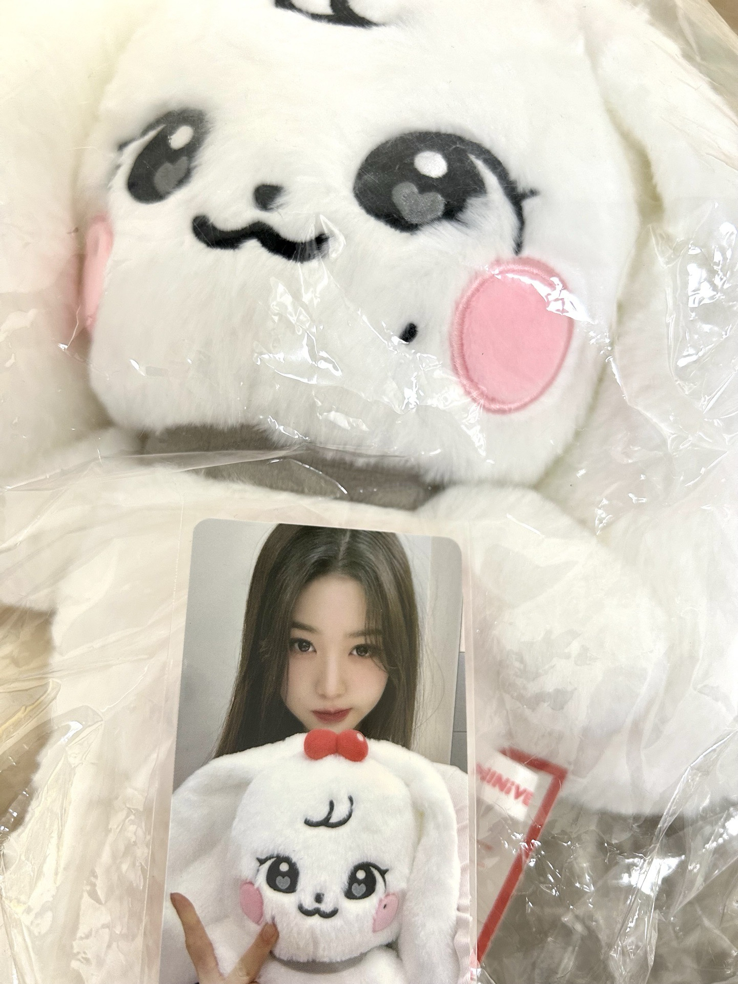 IVE MINIVE SCHOOL 30公分娃 大娃包