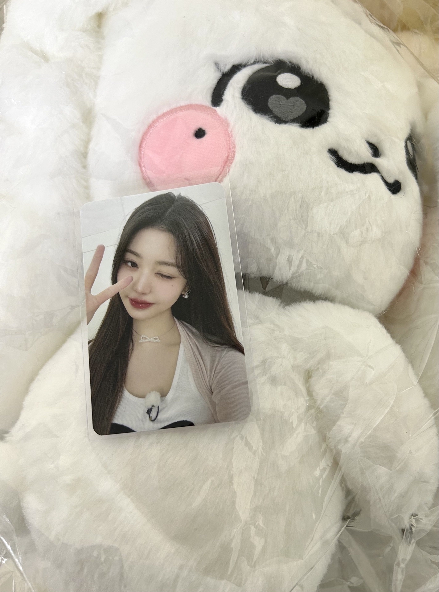 IVE MINIVE SCHOOL 30公分娃 大娃包