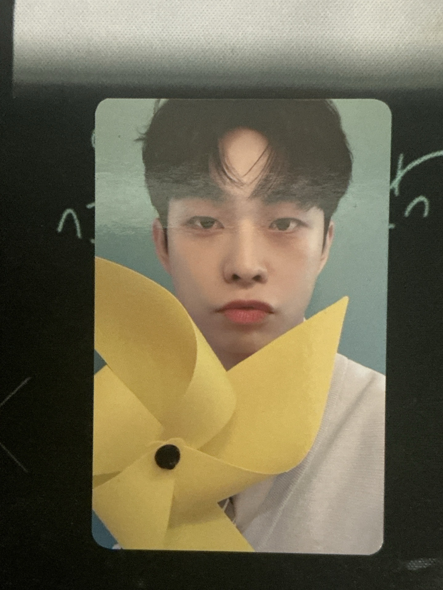 LUCY  庠燁 열專卡