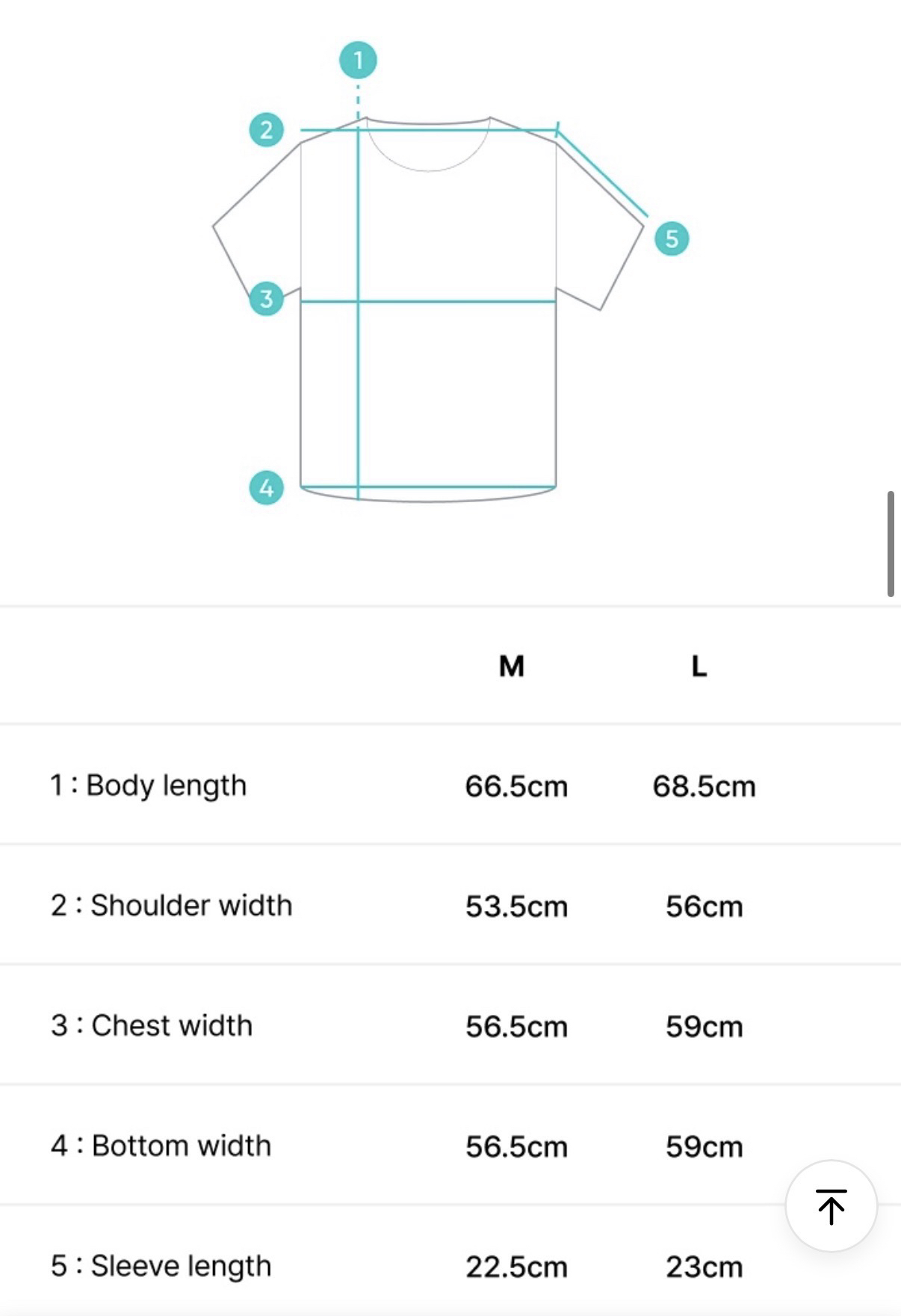 Cortis 官方上衣 M/L