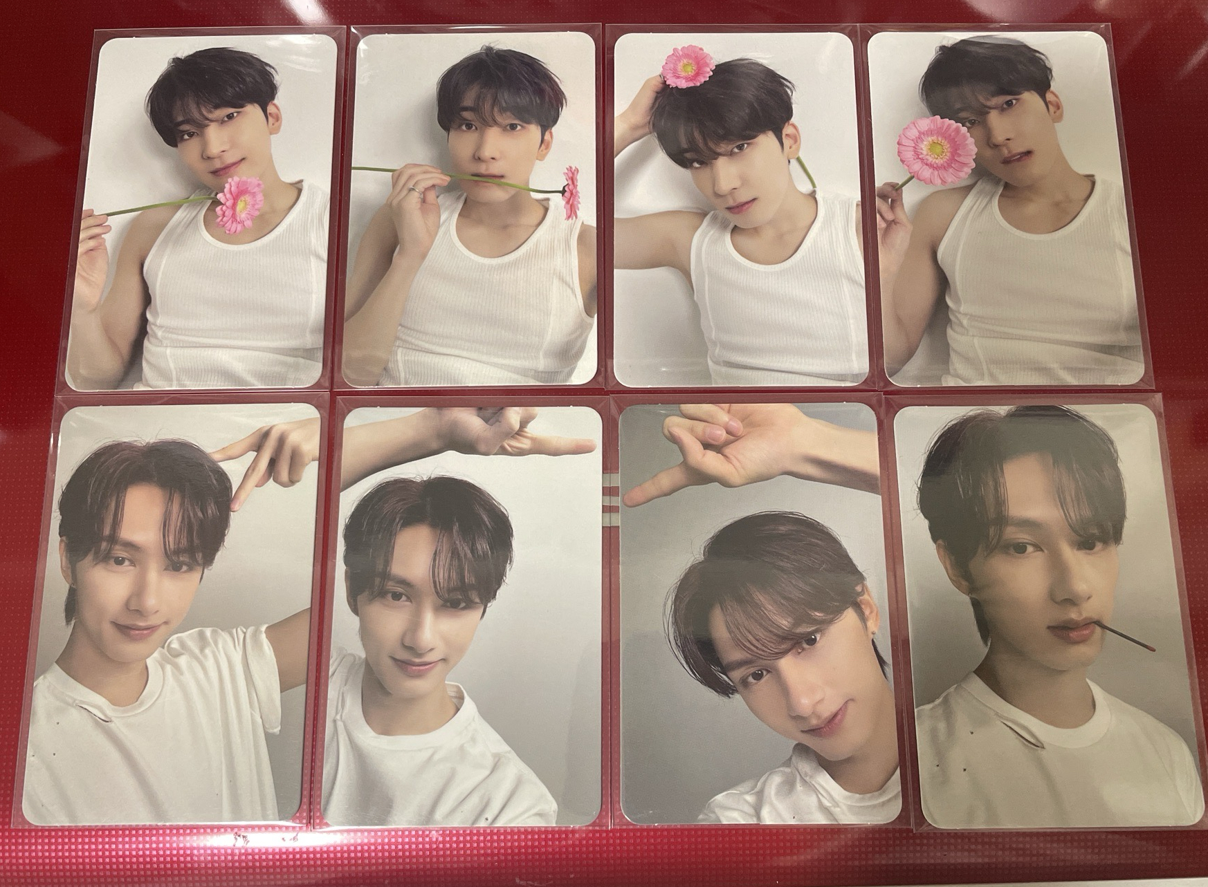 精選專CARAT 圓俊