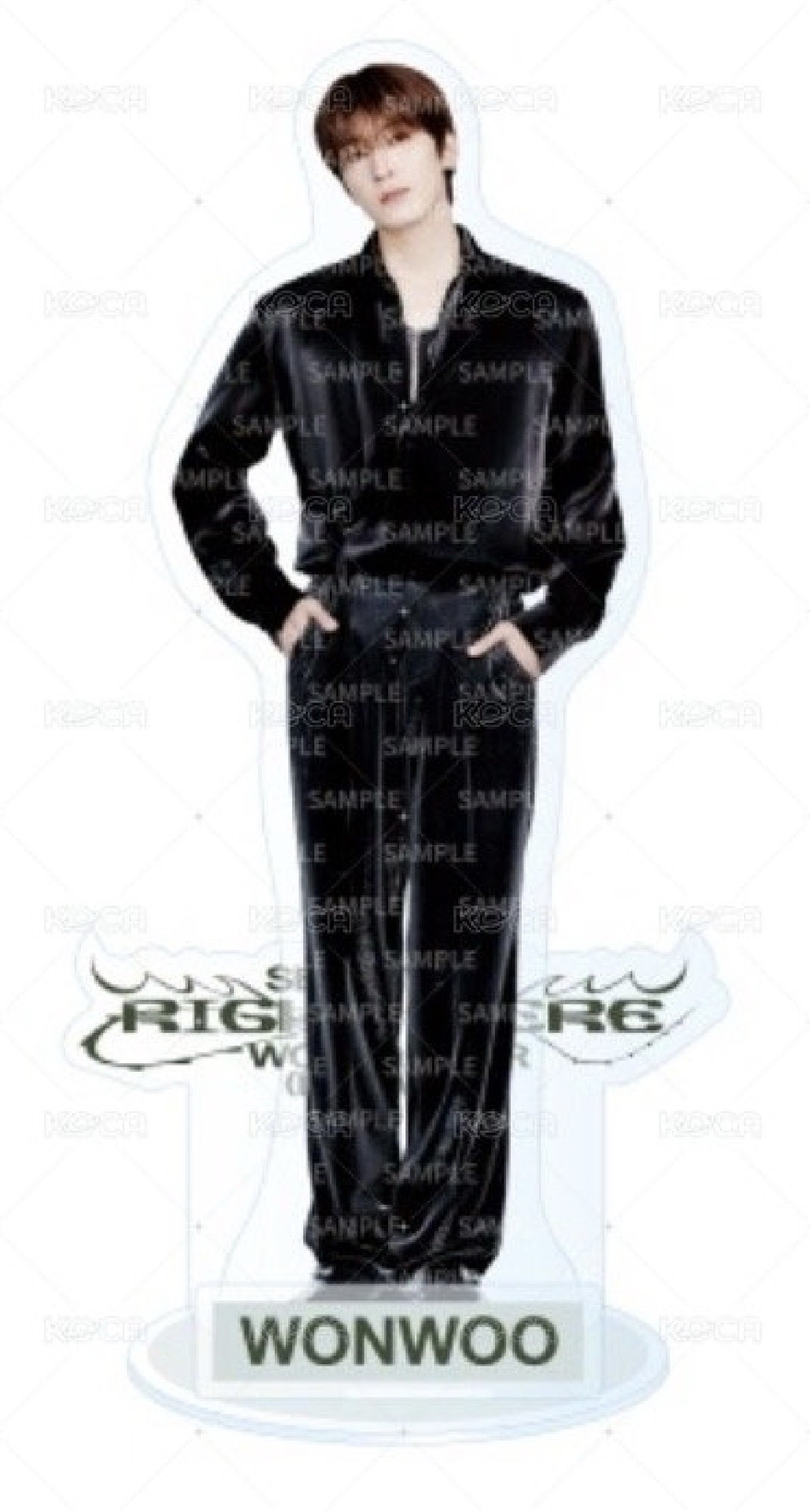 Seventeen RIGHT HERE 立牌 圓佑 碩珉 全新 現貨 未拆