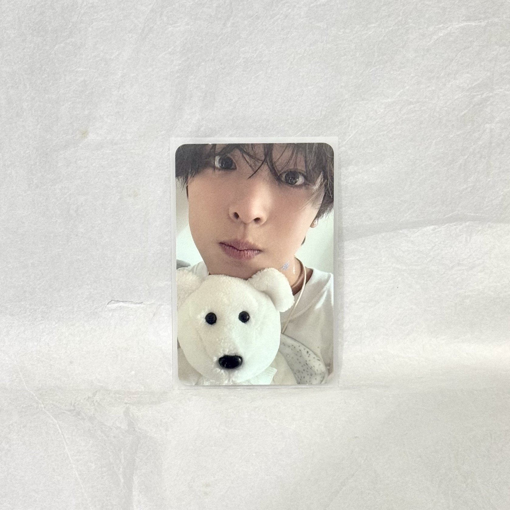 nctwish riku steady pb白版專卡