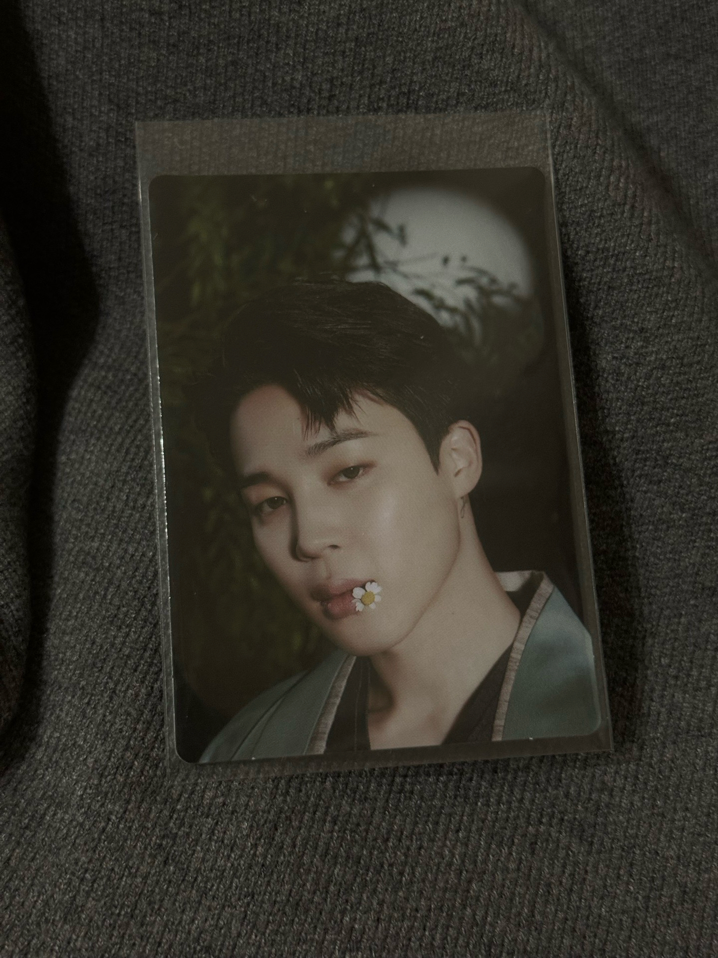 旻｜中秋隨機卡一套 2022 DALMAJUNG 