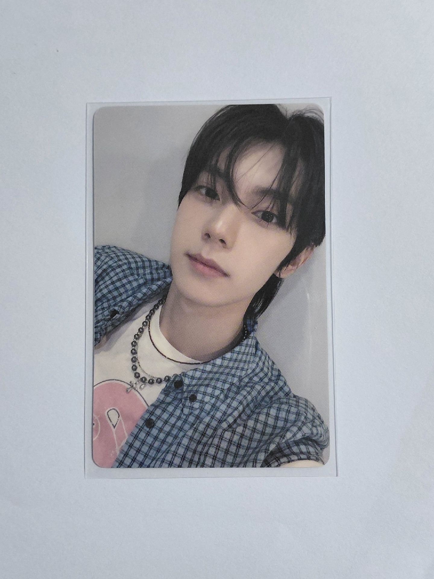 立于第一周 玫瑰