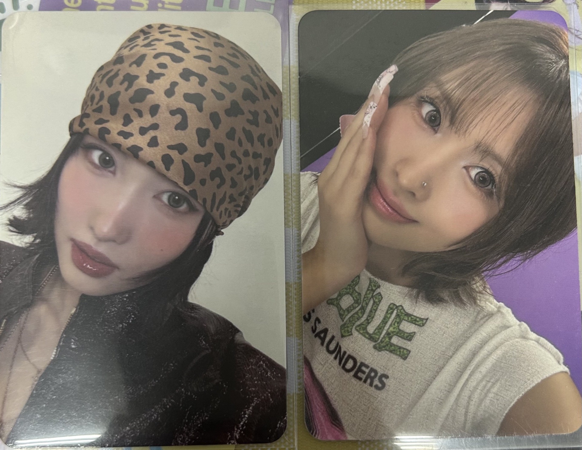 🐰 多人 桃 南 瑜