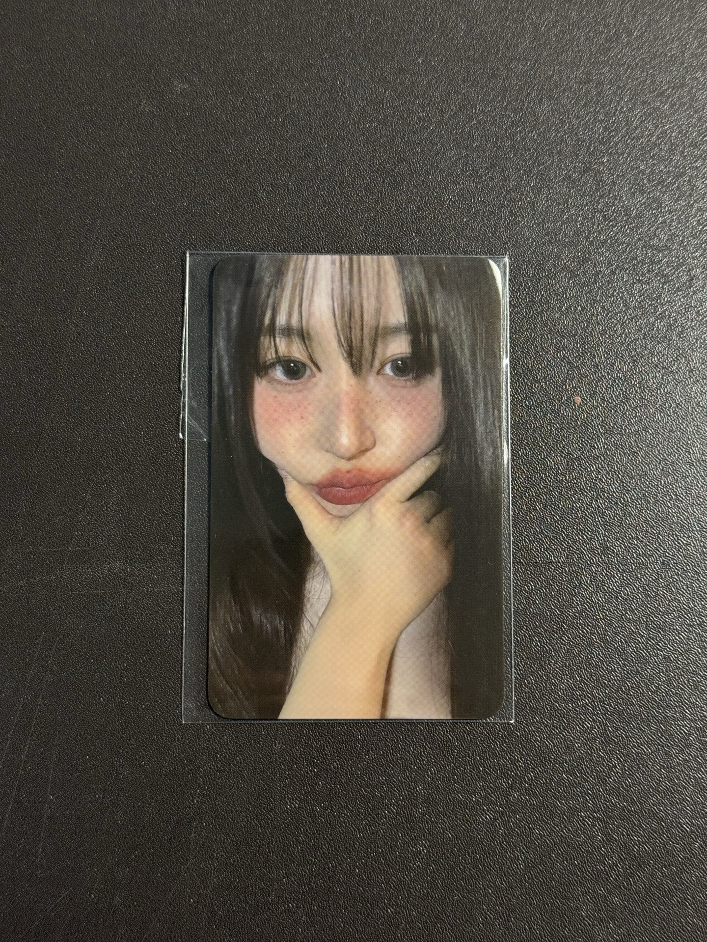 正規一 fans 預售 特典卡 