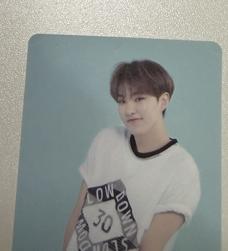 Seventeen 三期會員禮小卡 9張一起出（卡況看說明）