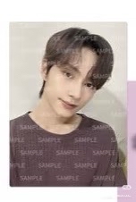 俊庫柏力克熊卡