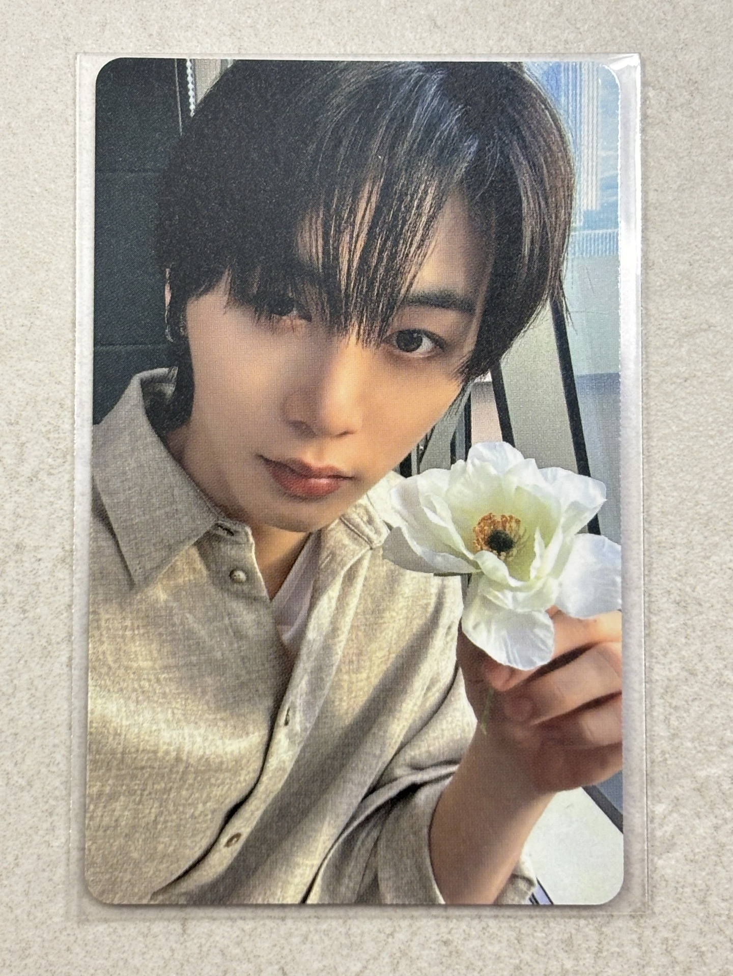 The Action wvs 特典卡 