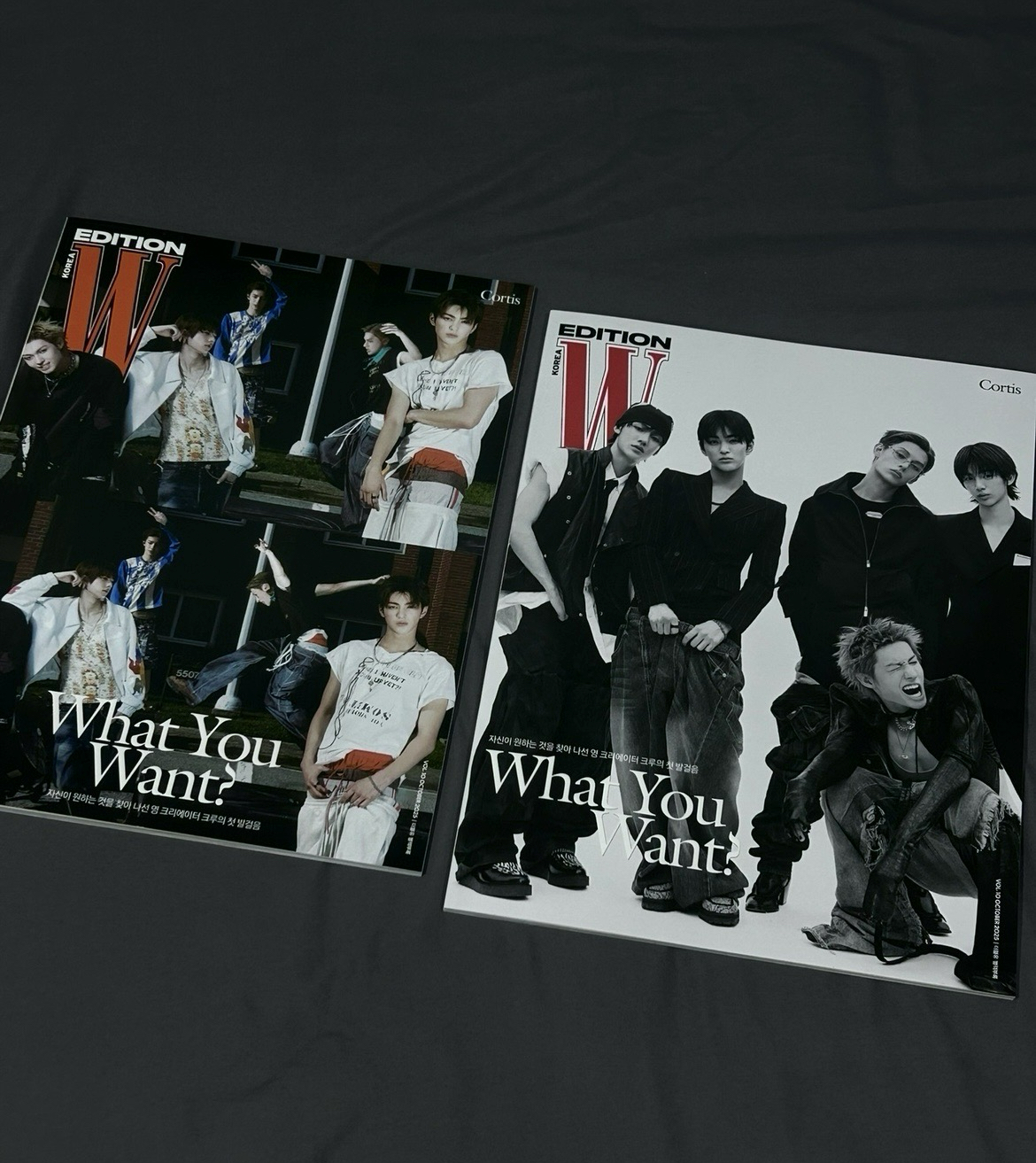 W Korea B版雜誌
