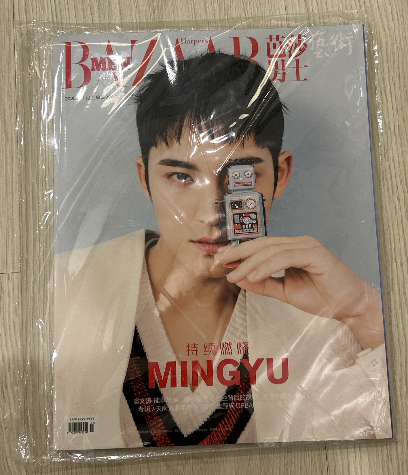 💚Mingyu |雜誌| 芭莎男士 2025年1月刊封面