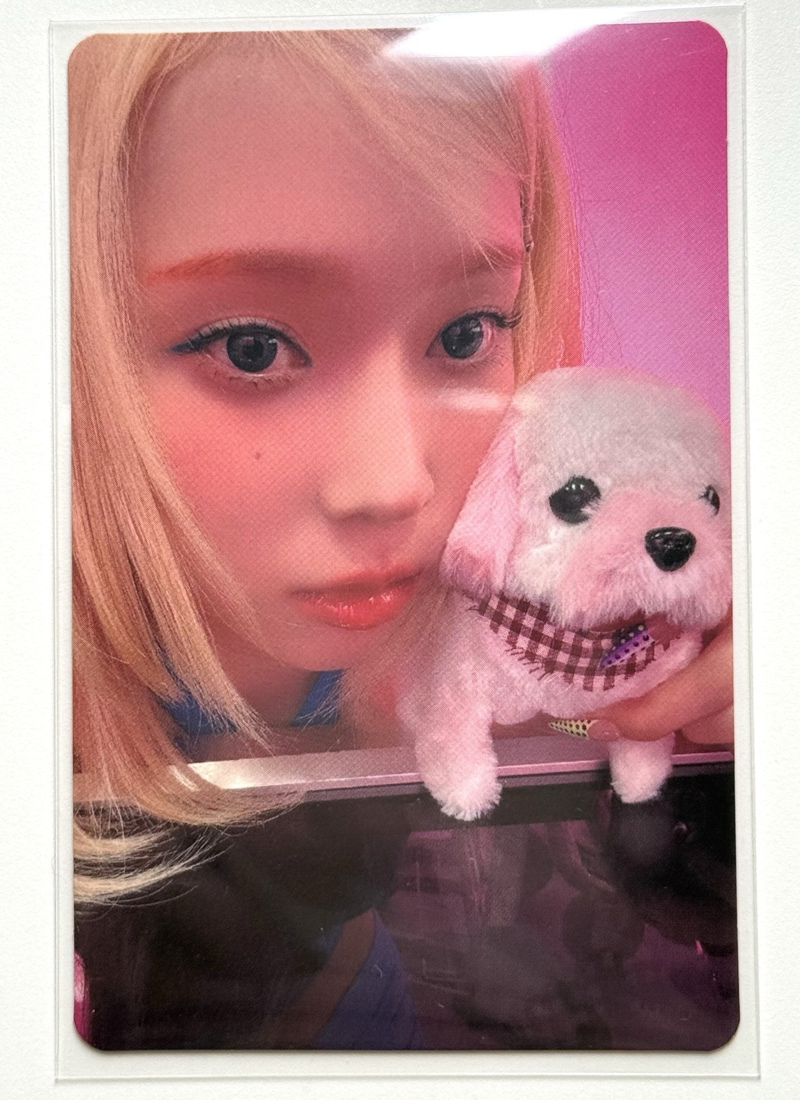 Hotmess 限量版專卡冬