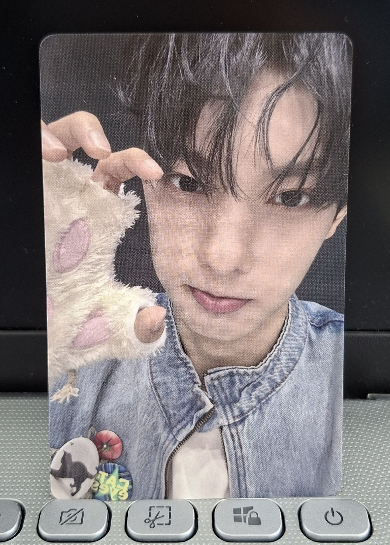 崔立于展會 貓爪