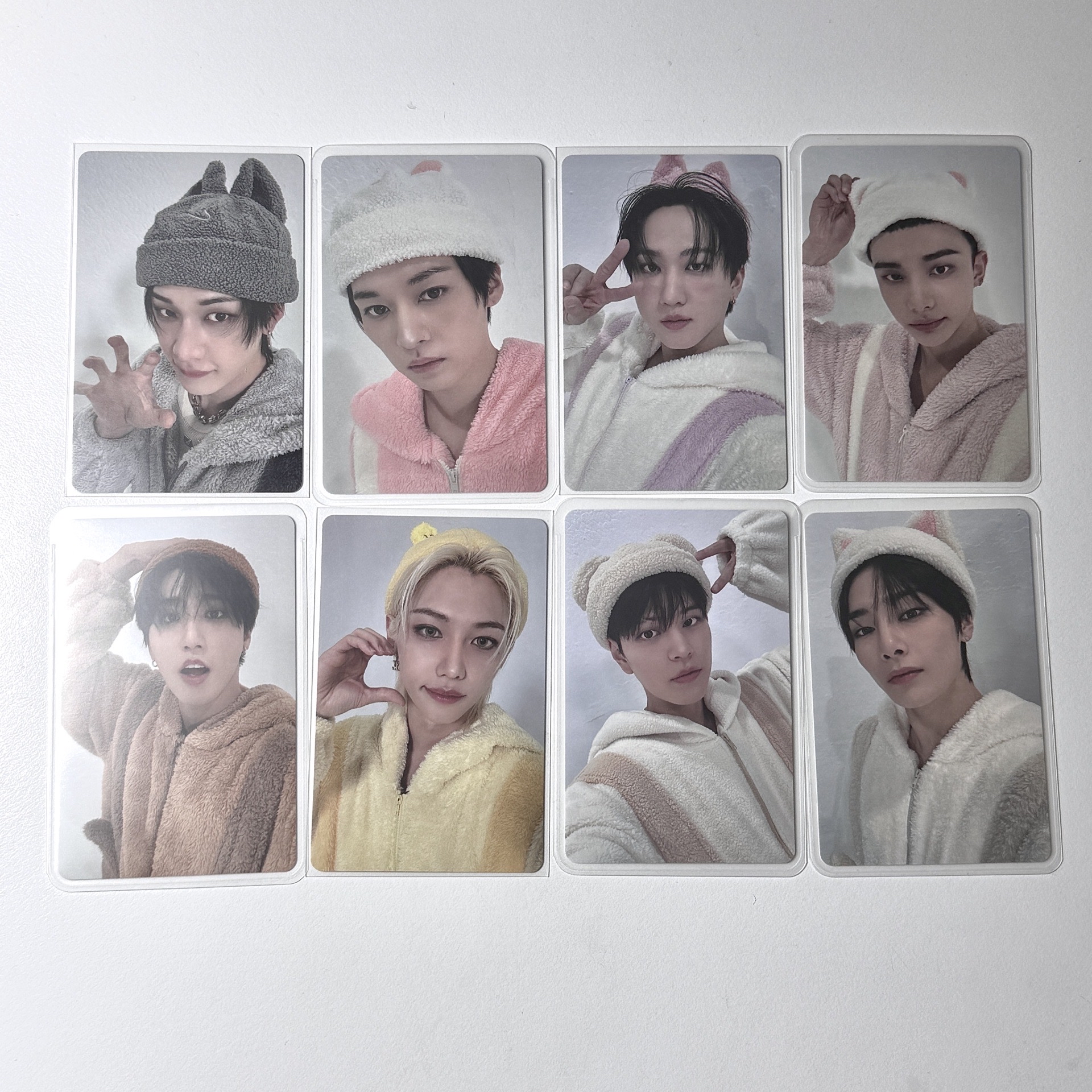 ⋆˚ STRAYKIDS ˖° —— Hollow 小動物卡背特典