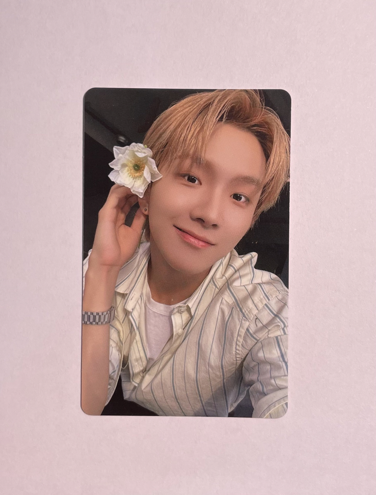 The Action wvs 特典卡 金雲鶴