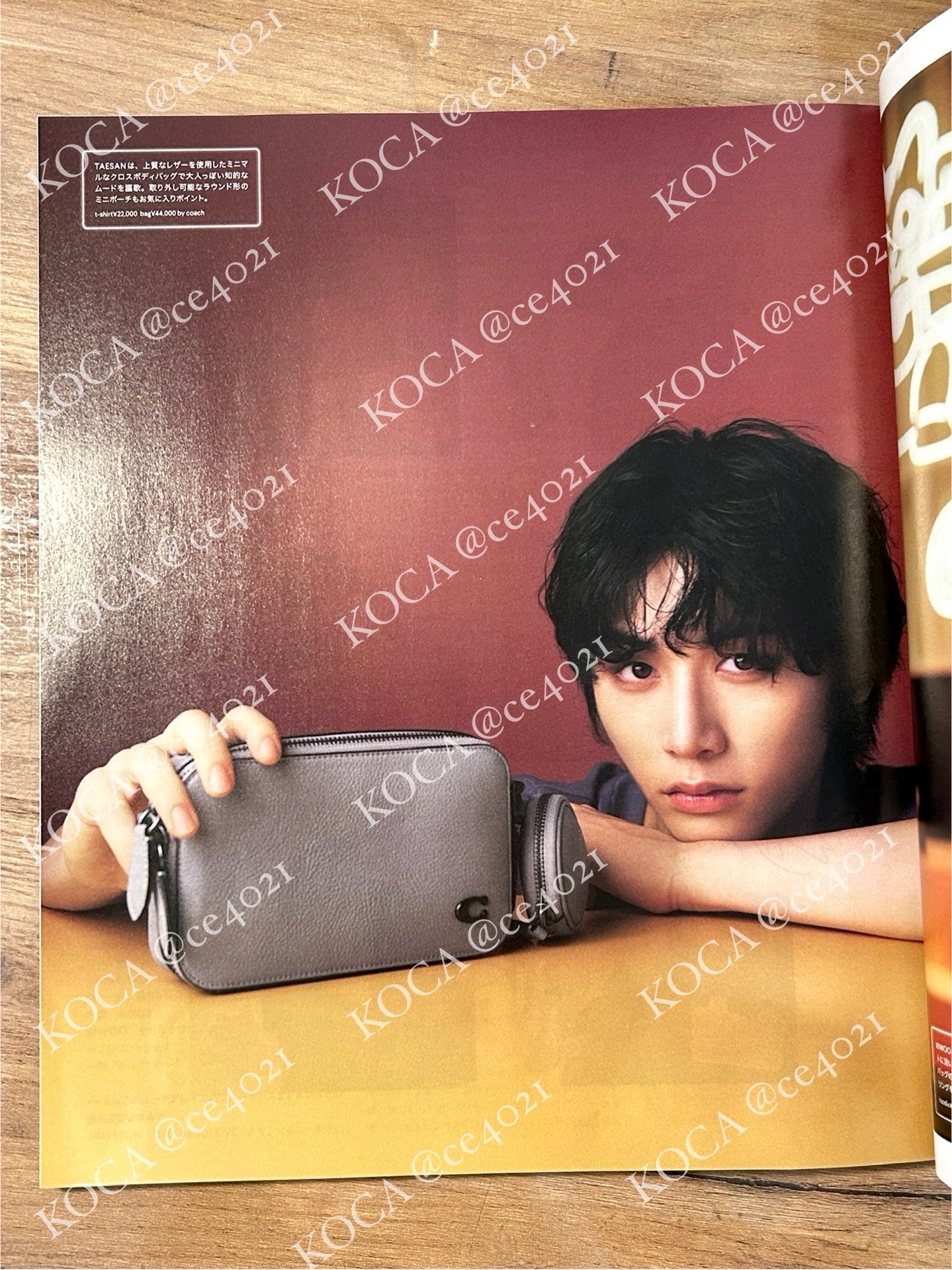 Nylon雜誌 含附錄卡（圖二）