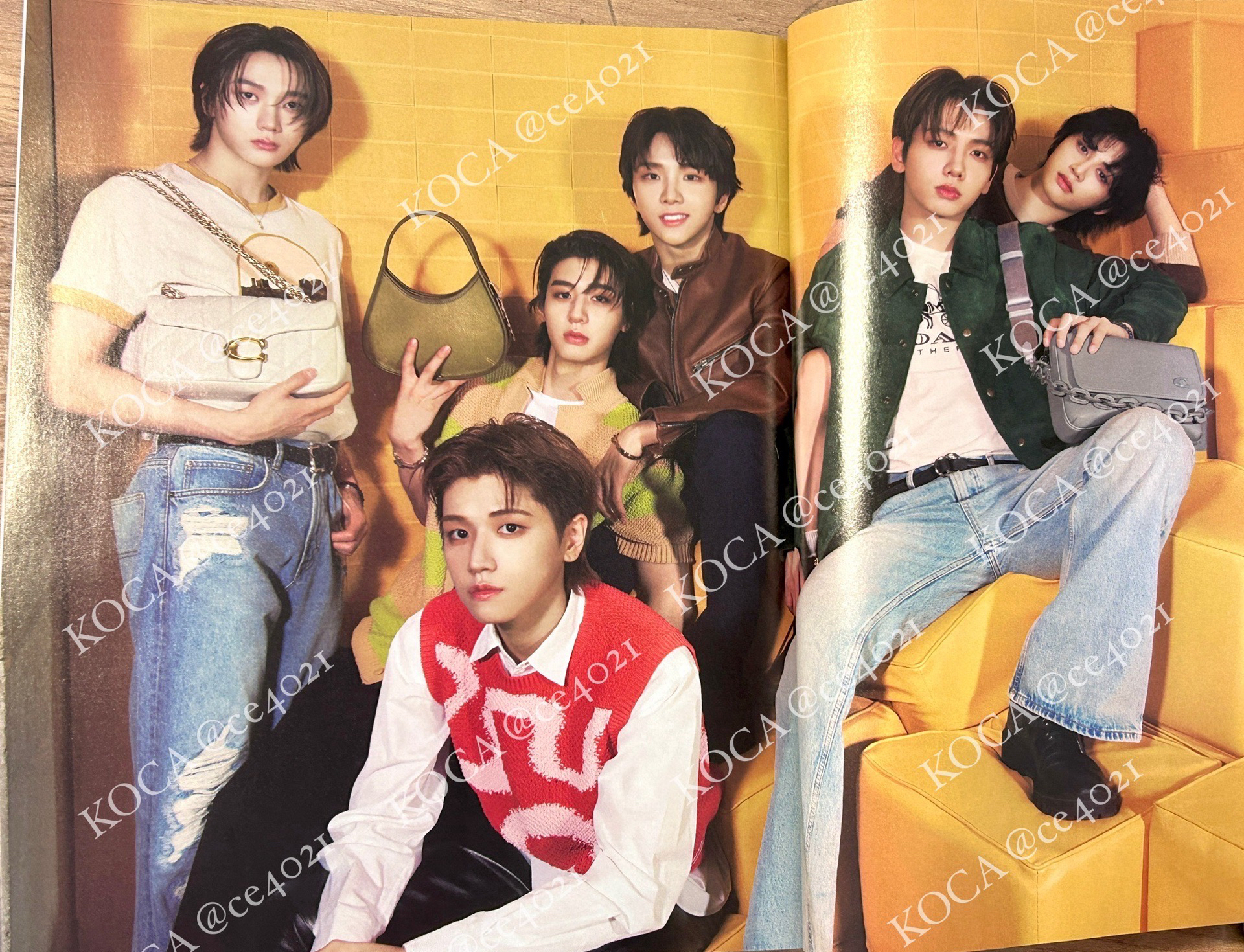 Nylon雜誌 含附錄卡（圖二）