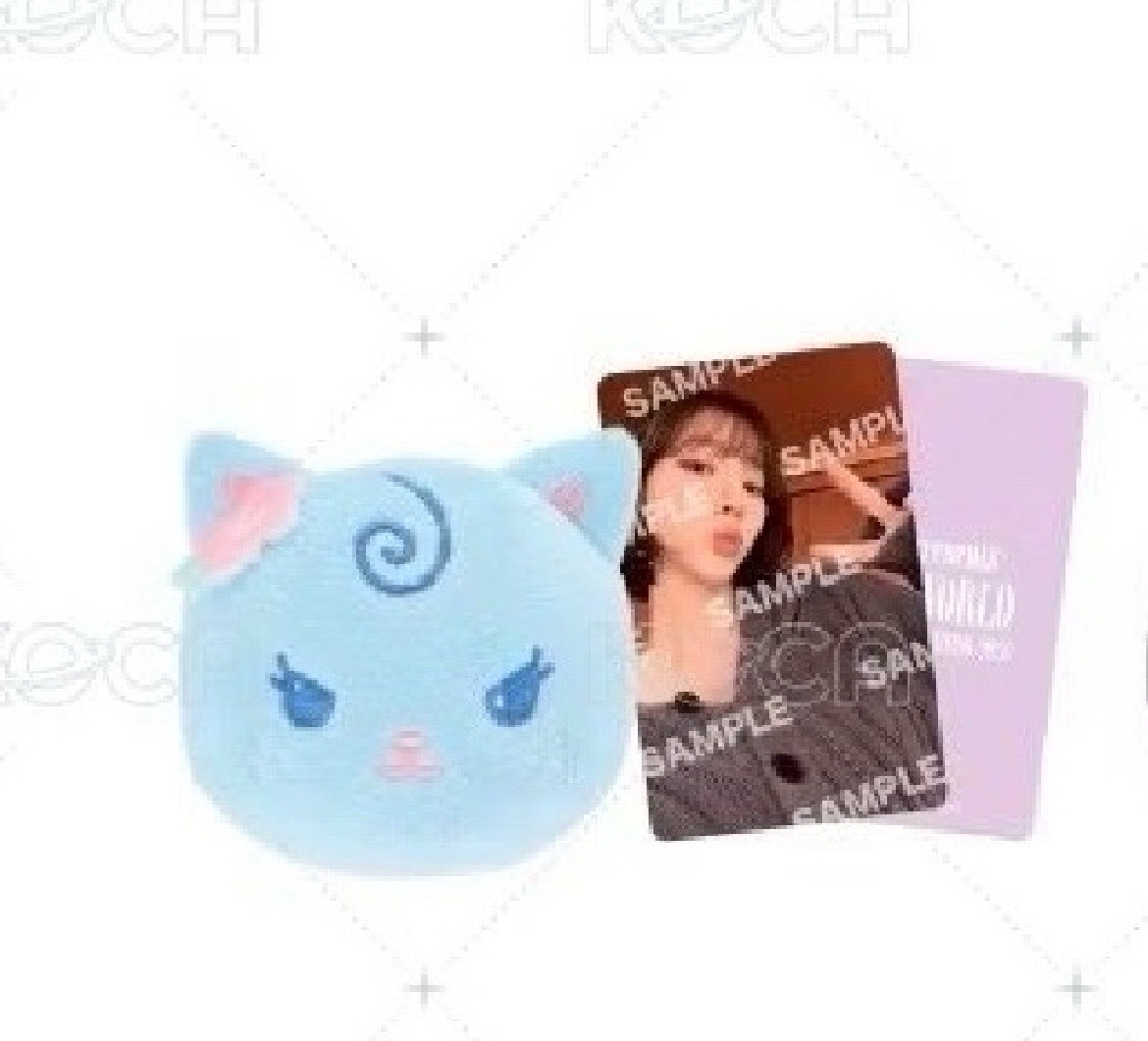 FM滿額柚+髮夾柚整組未拆