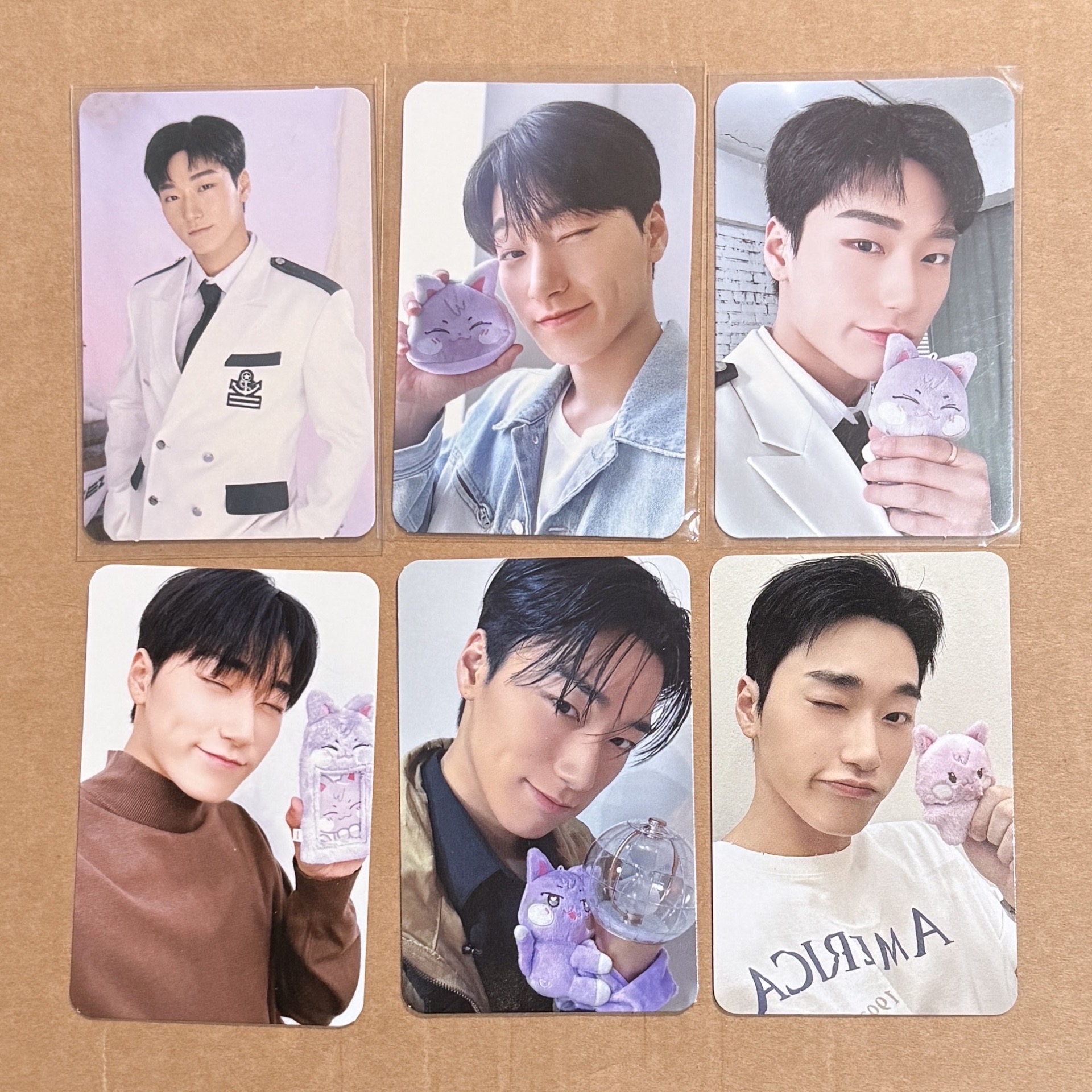 ANITEEZ 傘&傘德 小盤