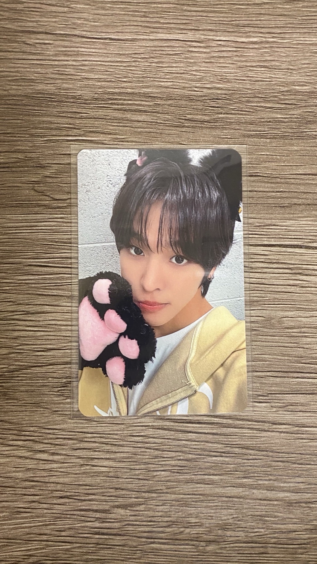 nct wish COLOR ia幸運卡 riku