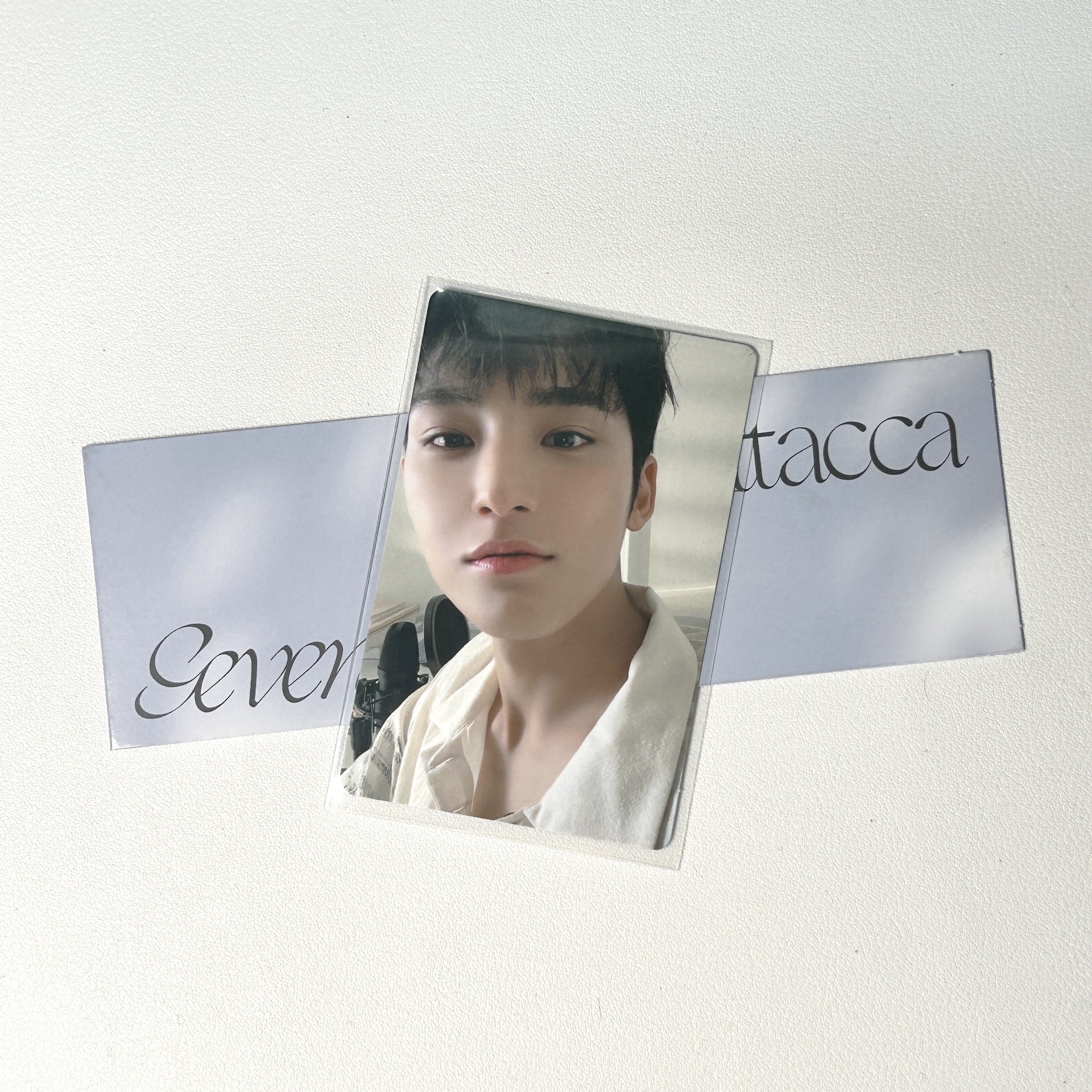 mingyu｜白衣奎🐶