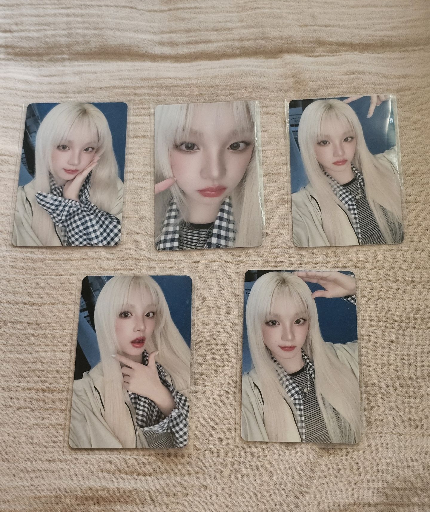 日巡隨機卡雨琦