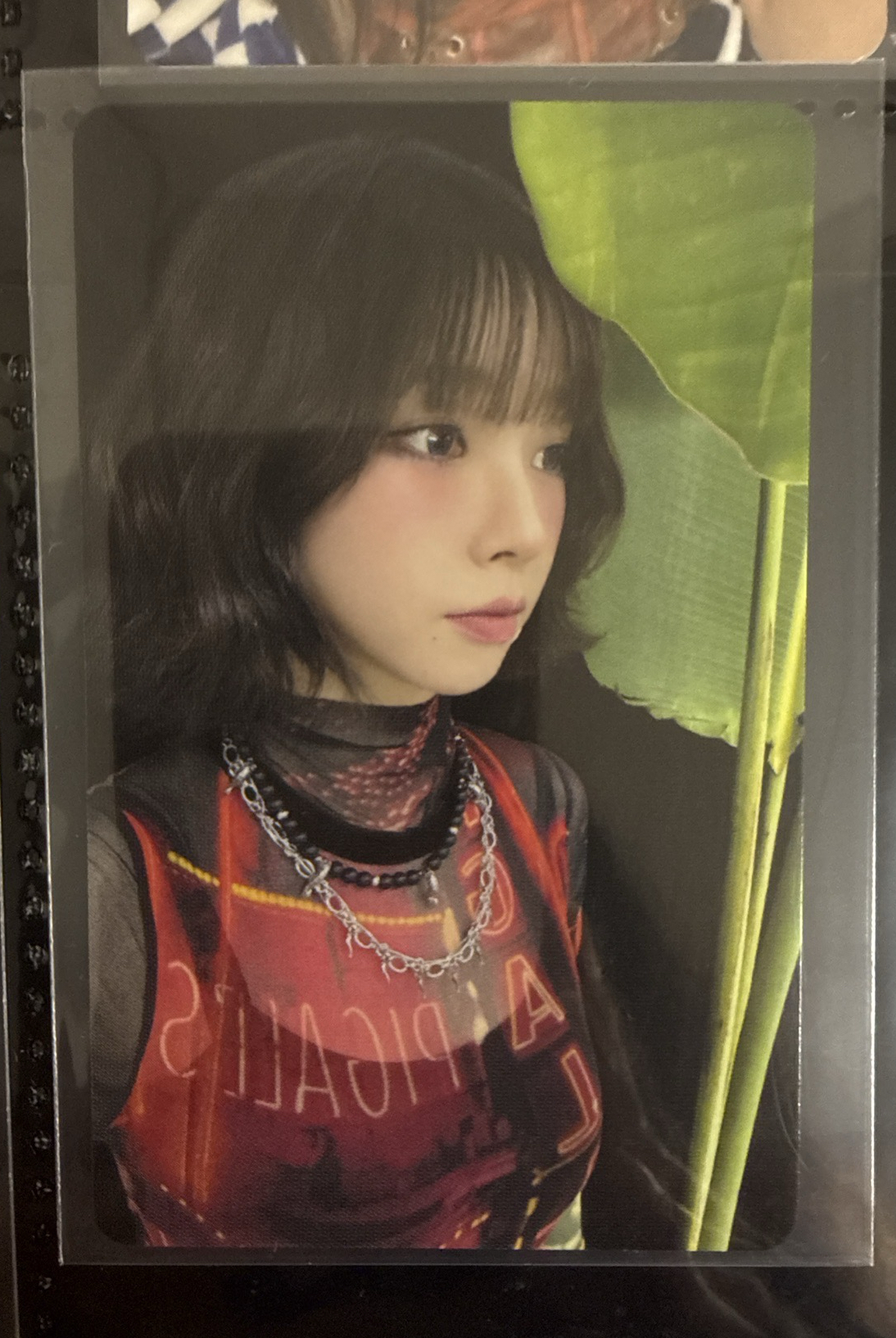 sm town 隨機卡柚