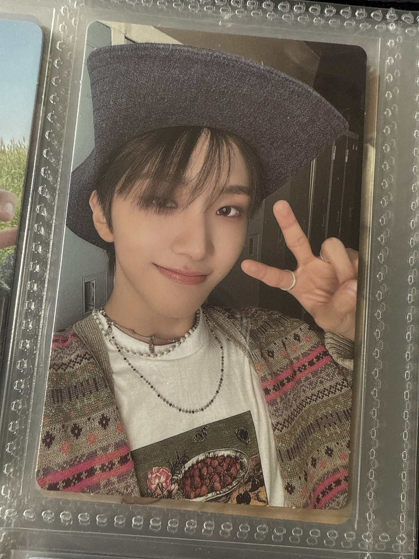 WHY wvs特典卡 雲鶴