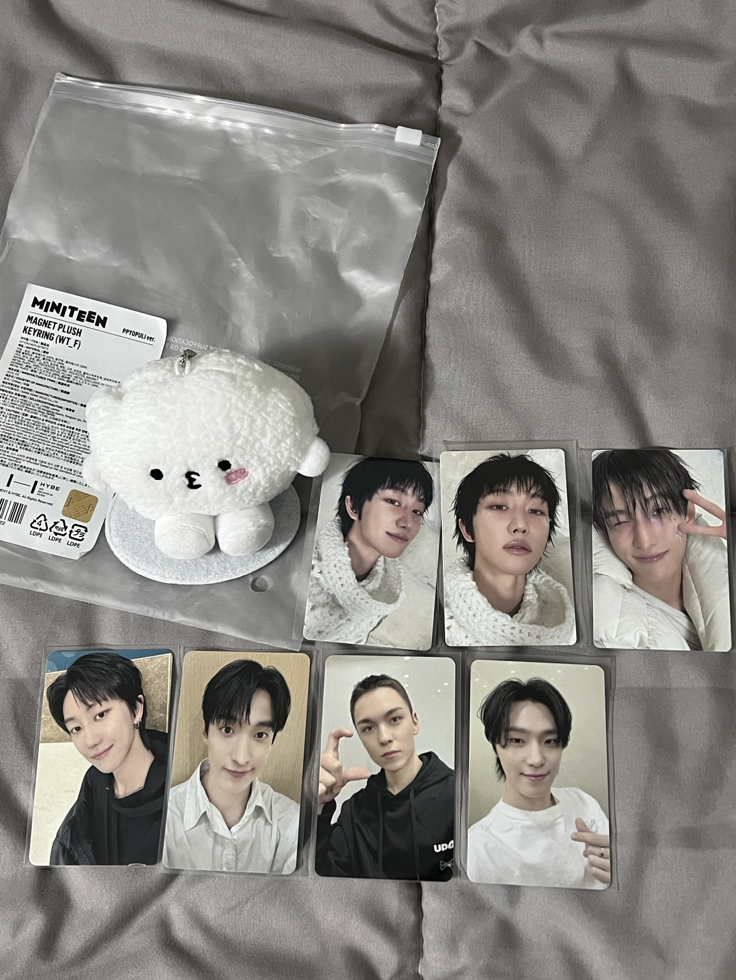 Miniteen勳坐娃+特典卡