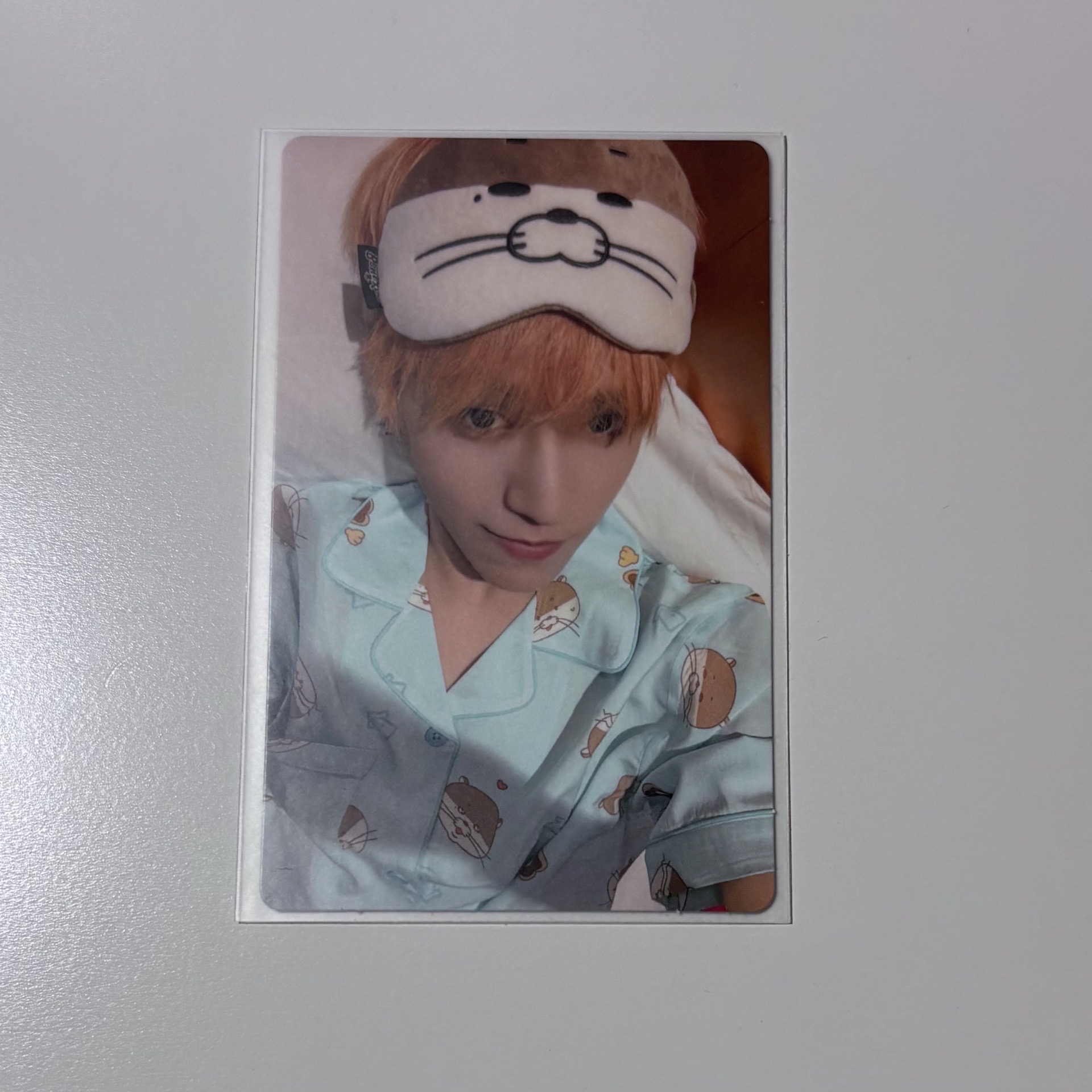 The Action｜wvs LD 2.0