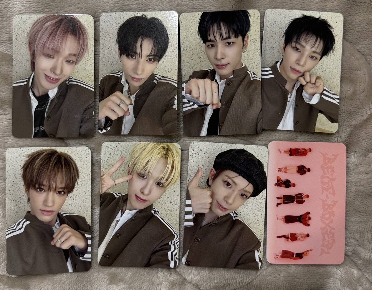 NEXZOO 娃專固配 專卡