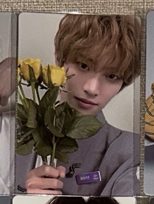 陳凱文 韓場 展覽卡