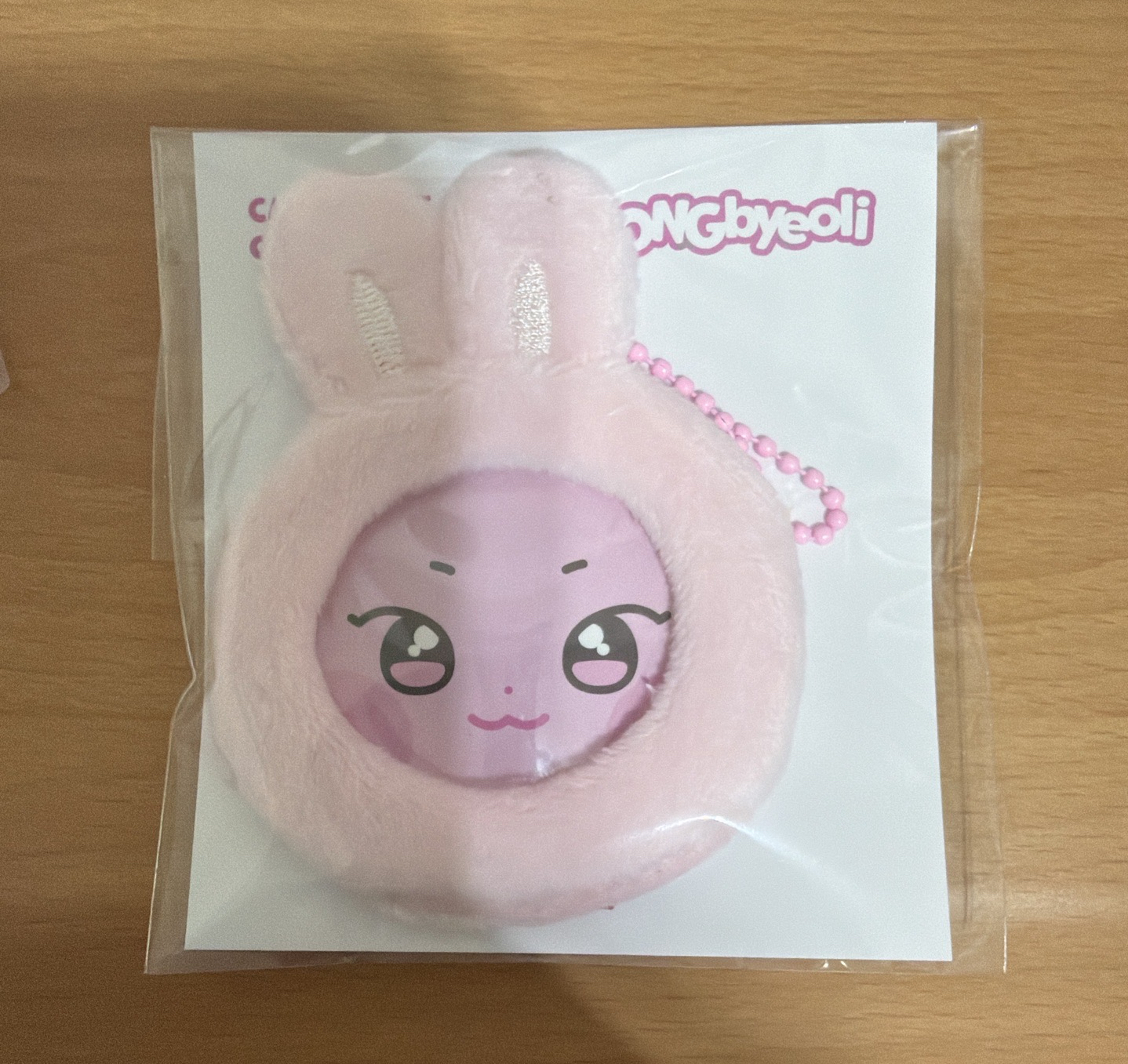 ANITEEZ IN THE CALLING 徽章套 CAN BADGE COVER