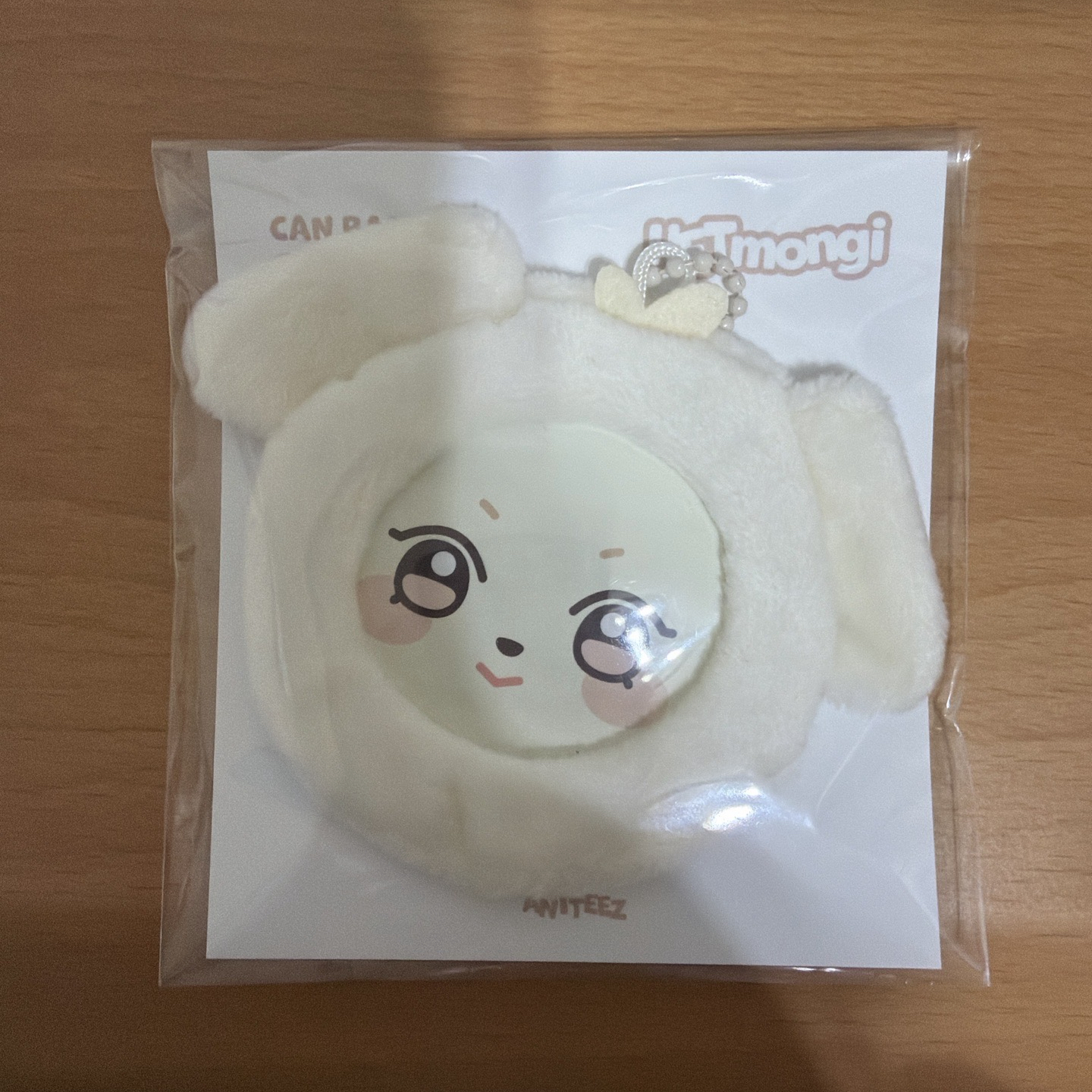 ANITEEZ IN THE CALLING 徽章套 CAN BADGE COVER