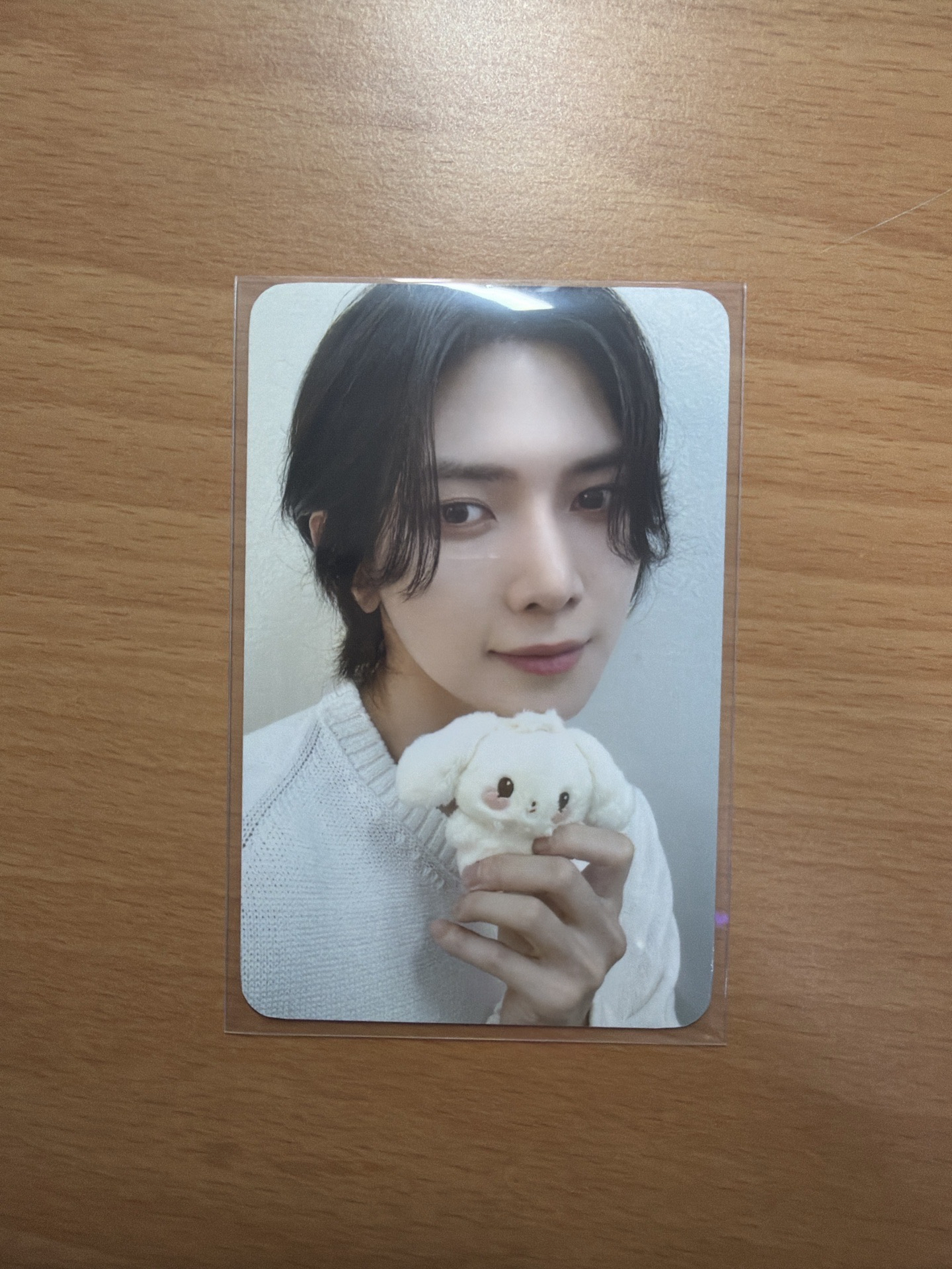 ANITEEZ IN THE CALLING 周邊卡 TINY ANITEEZ PLUSH DOLL