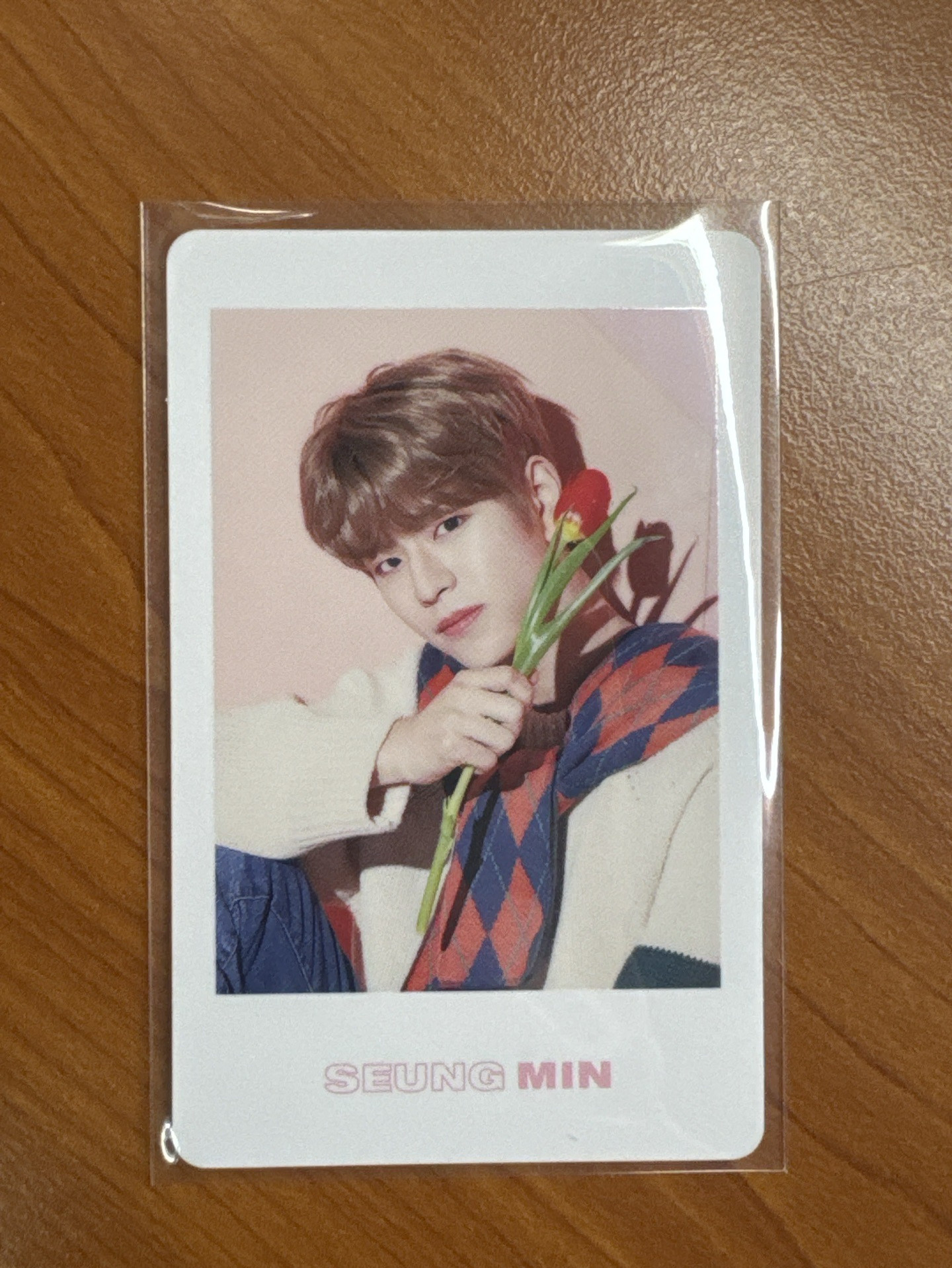 district9 日周拍立得