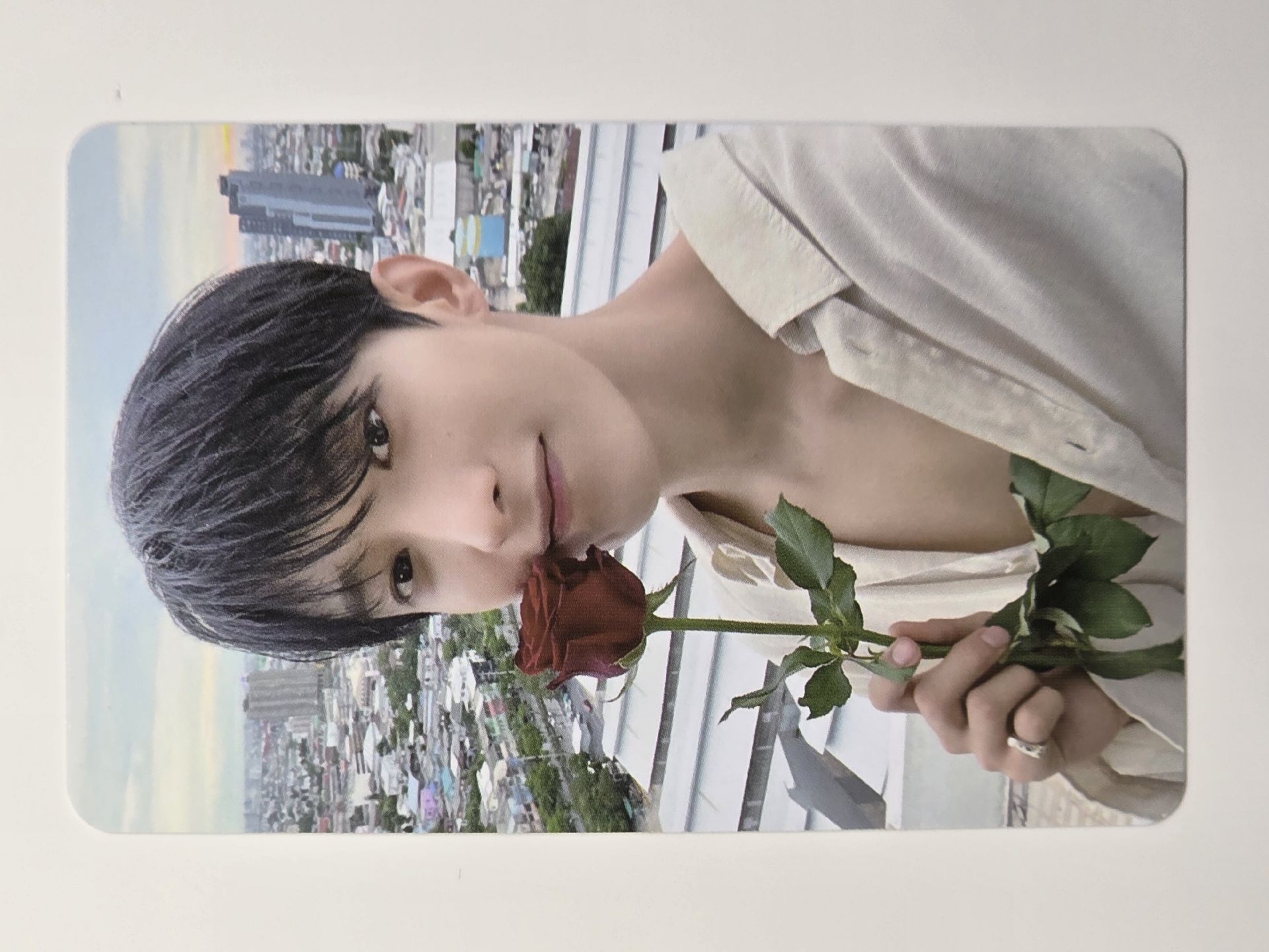 迷12 BR Lucky Draw 玫瑰碩