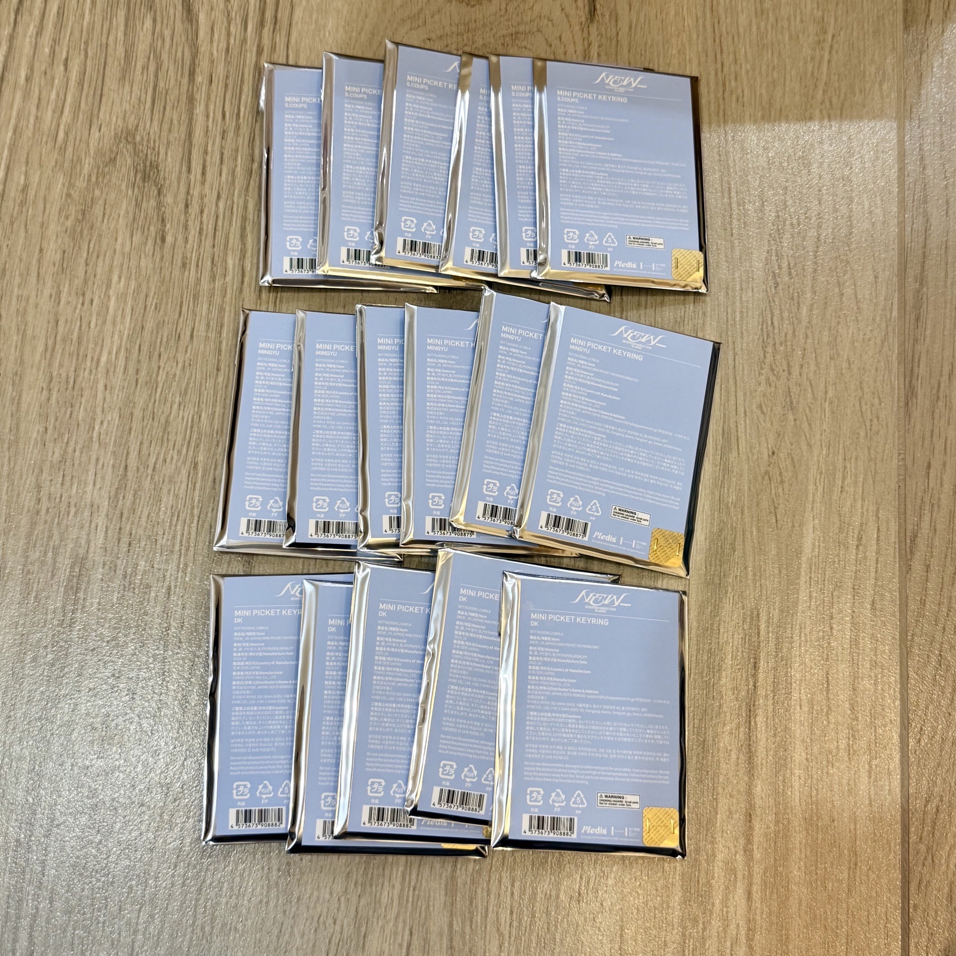 現貨 未拆 NEW 日巡小扇 喆奎碩