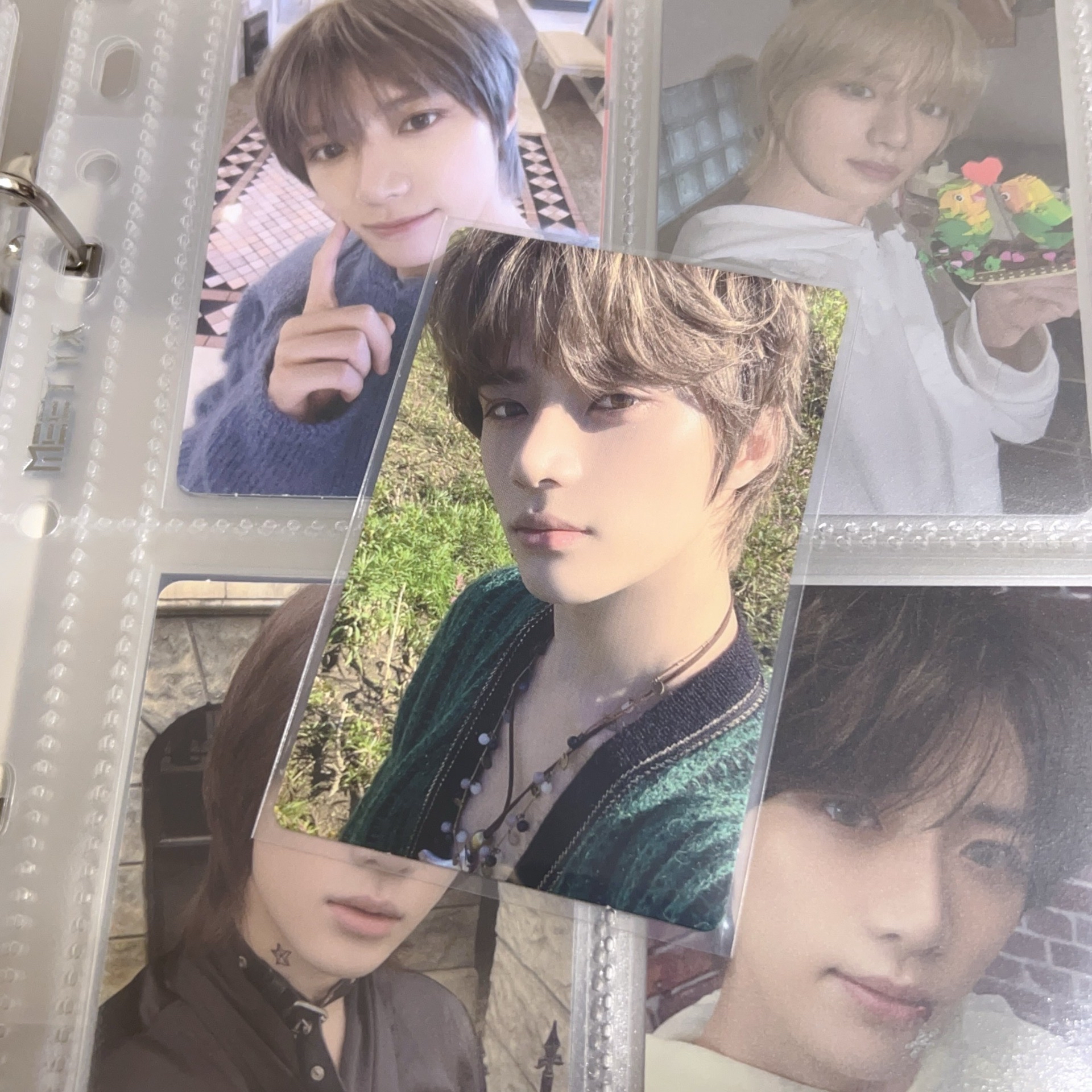 迷五 daydream 專卡 圭