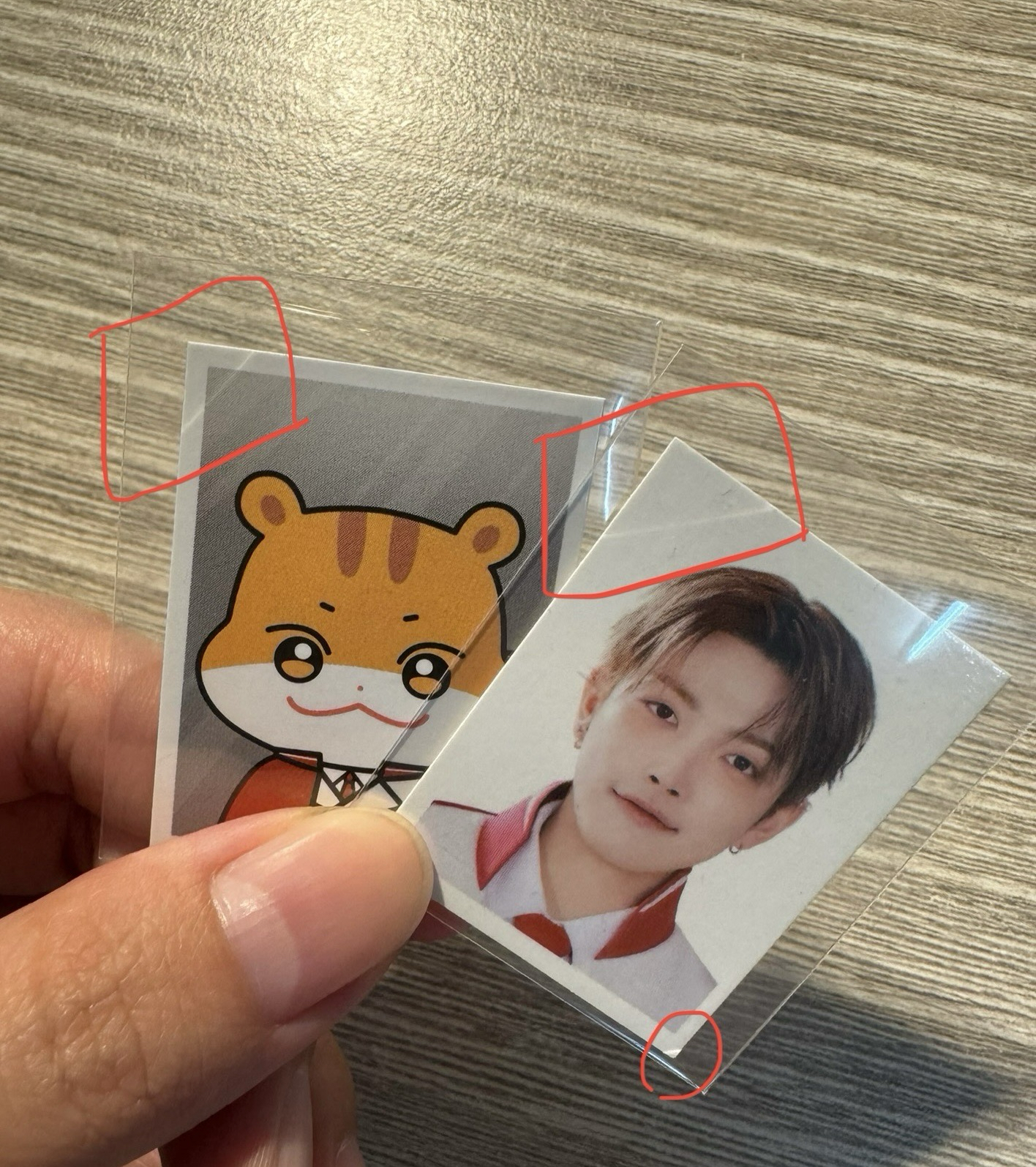 Calling快閃店 資料夾 弘中 小卡*1 證件照*2