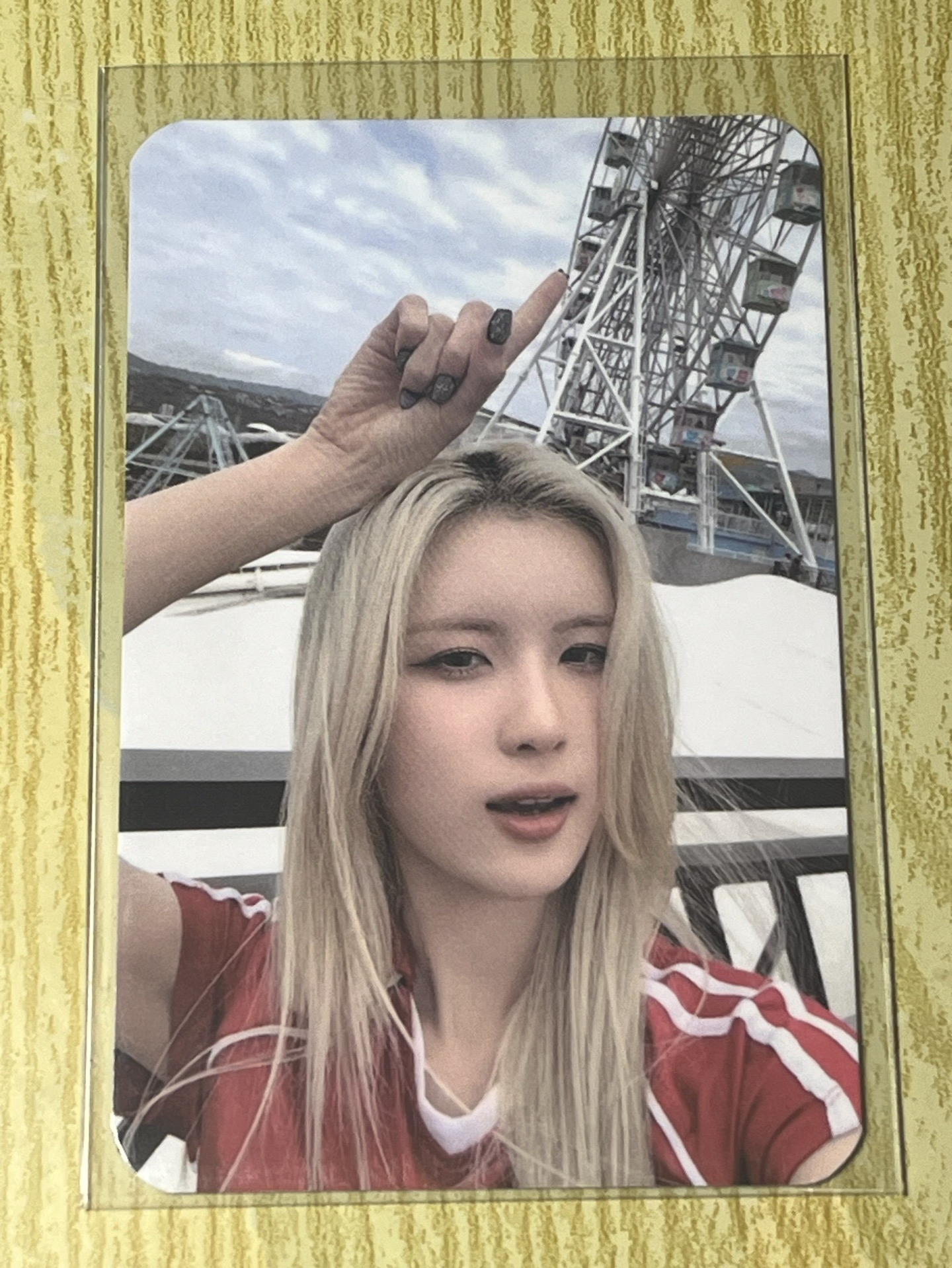 星動樂園摩天輪 毓