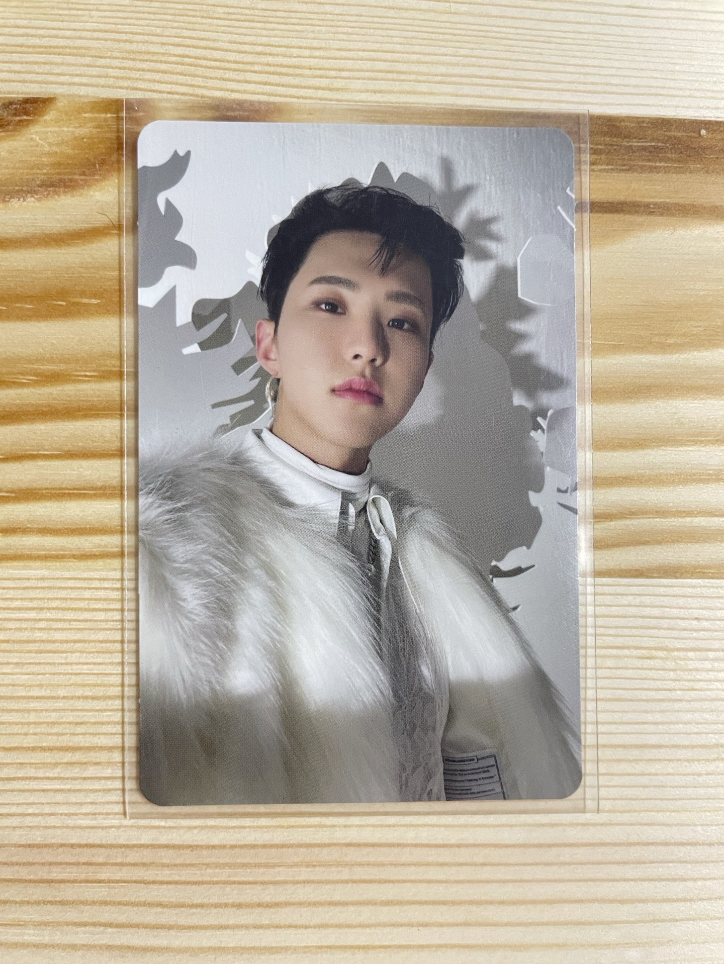 POL 專輯卡 通常ver 榮